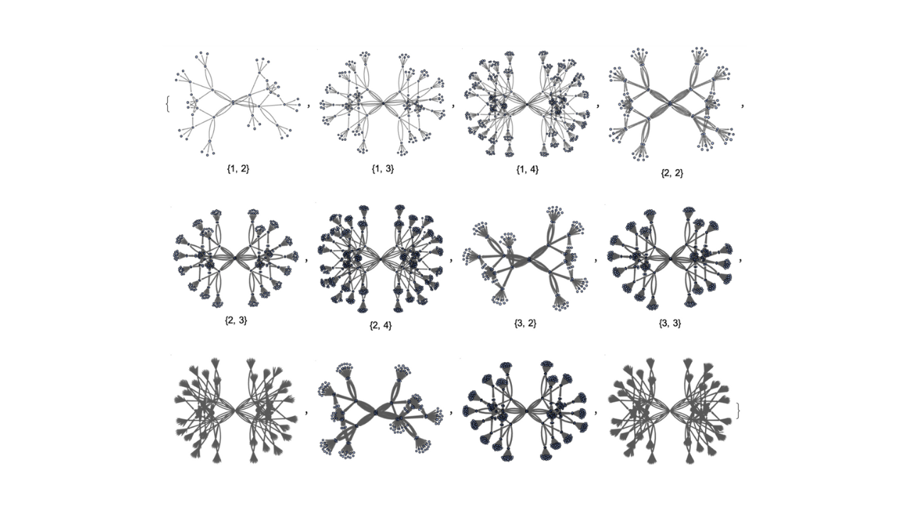 Ruliology: Linking Computation, Observers and Physical Law