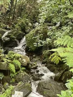 Waterfall in Cherokee, North Carolina