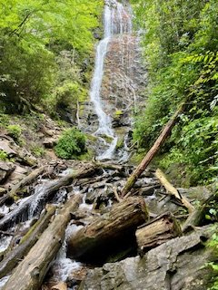 El Yunque National Forrest in Puerto Rico