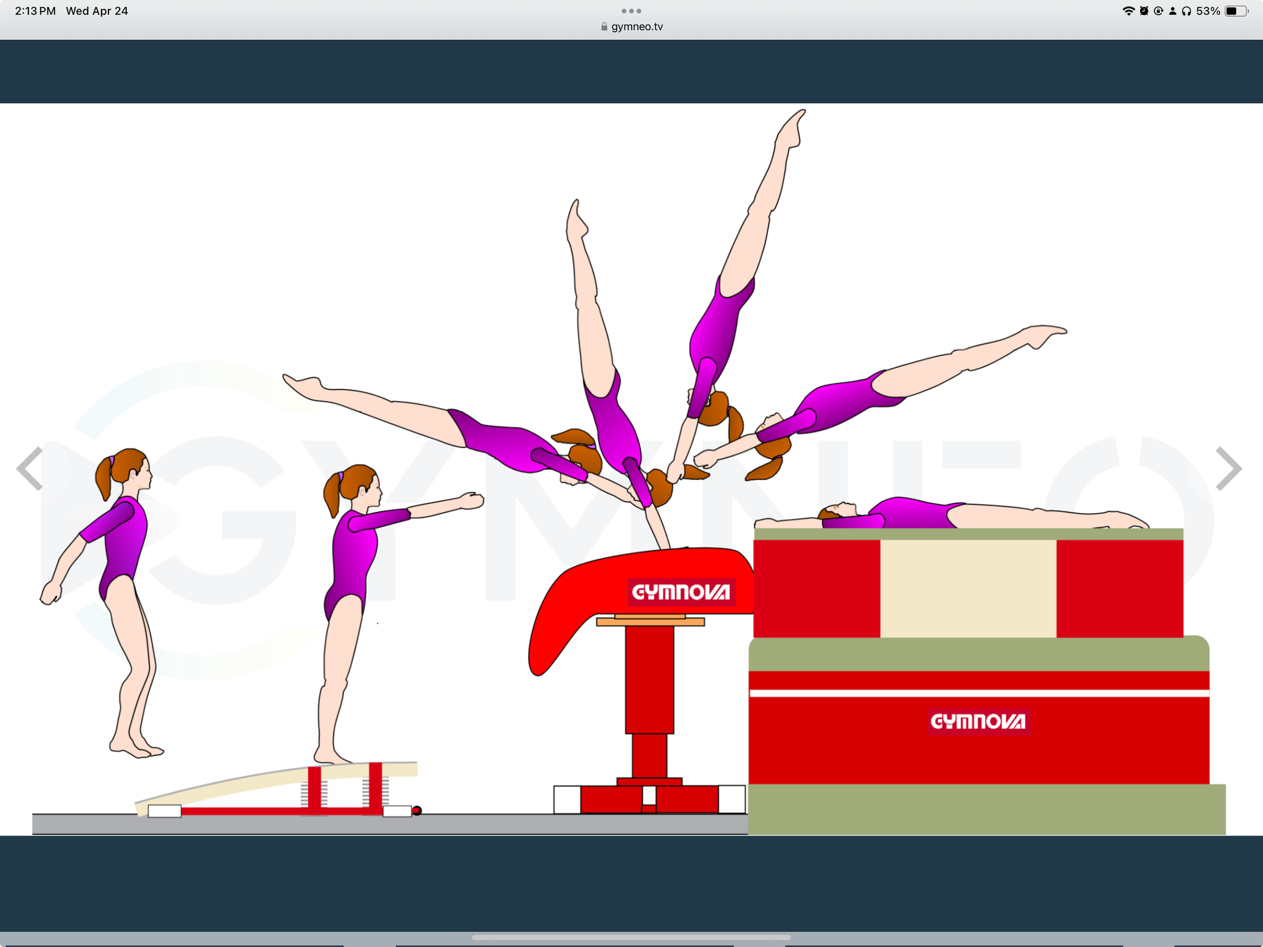 My training list - GymneoTV 17.png