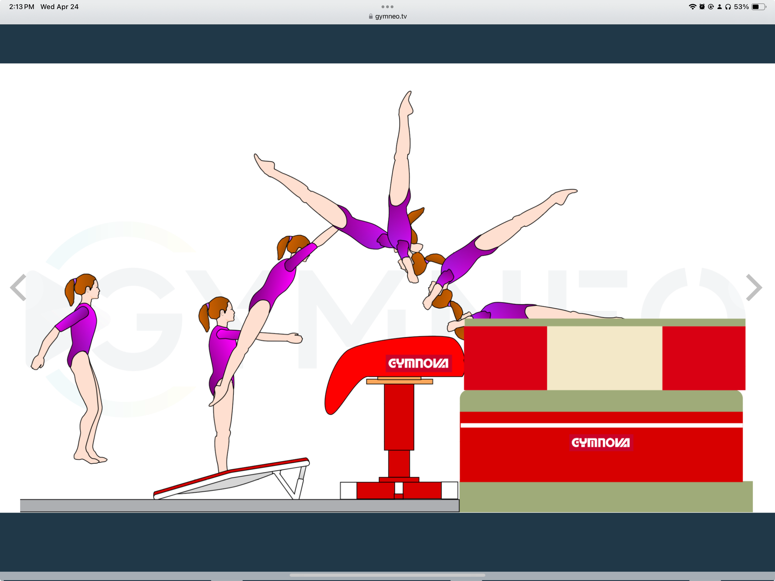 My training list - GymneoTV 21.png