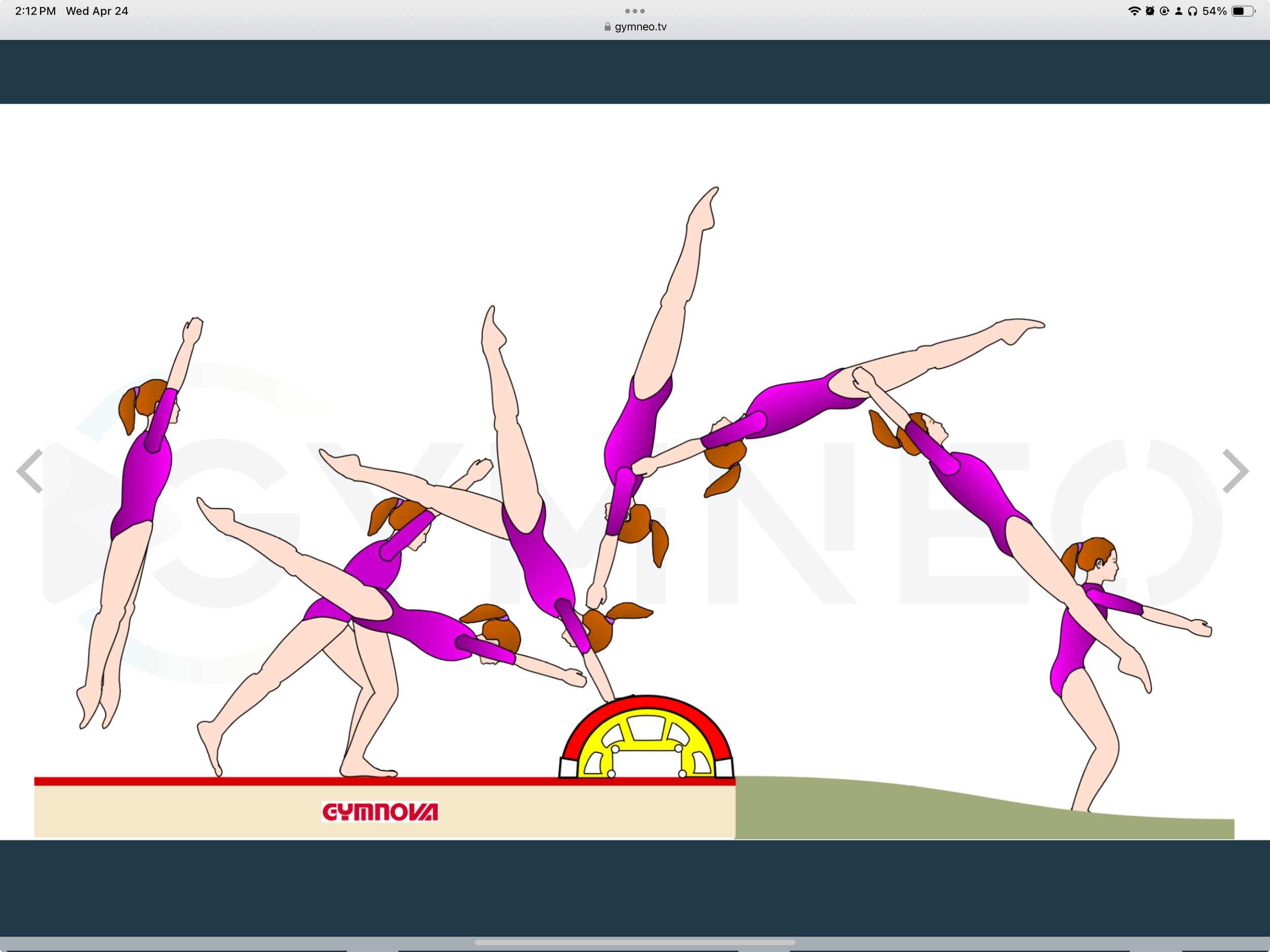 My training list - GymneoTV 25.png