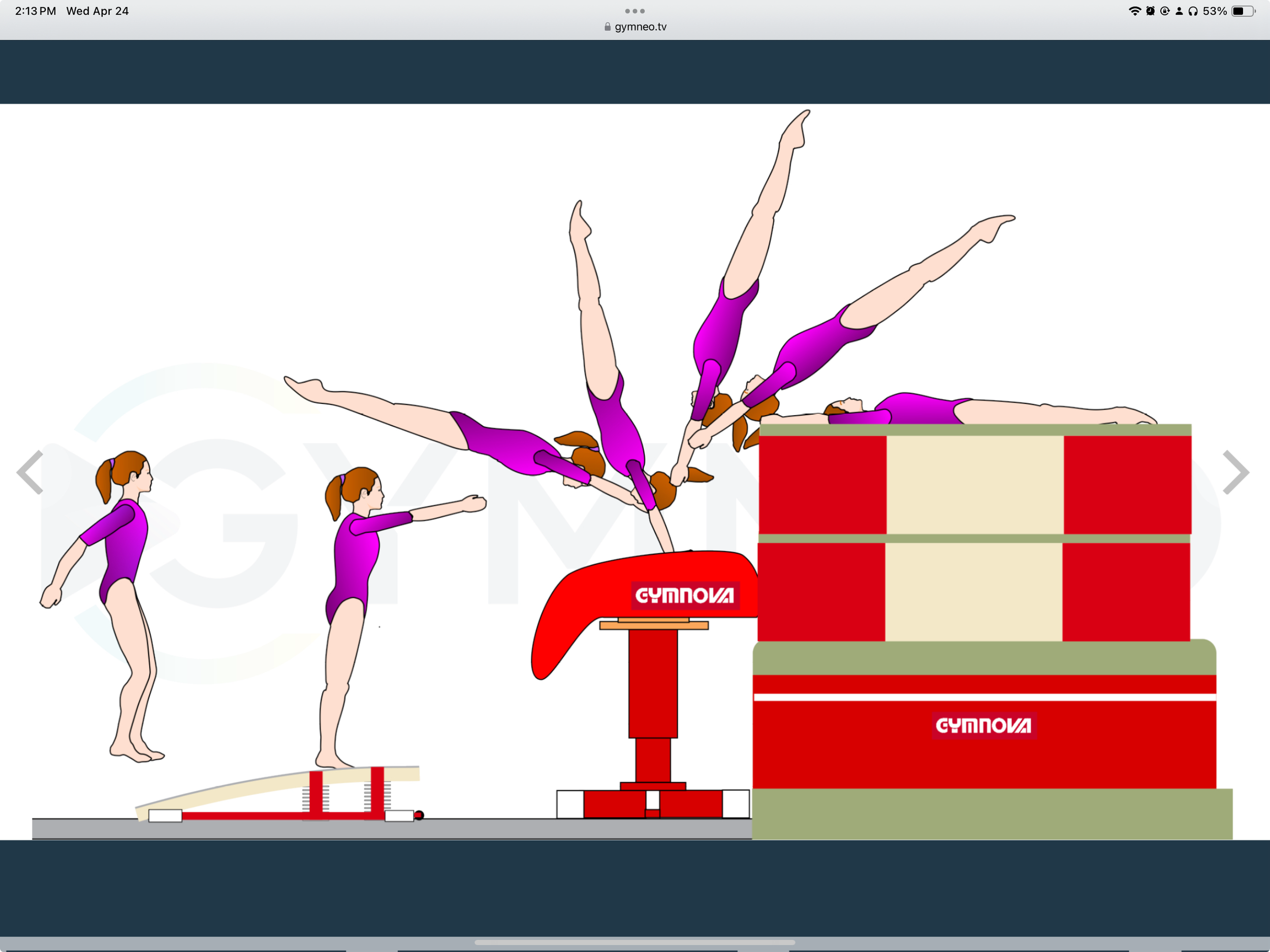 My training list - GymneoTV 33.png