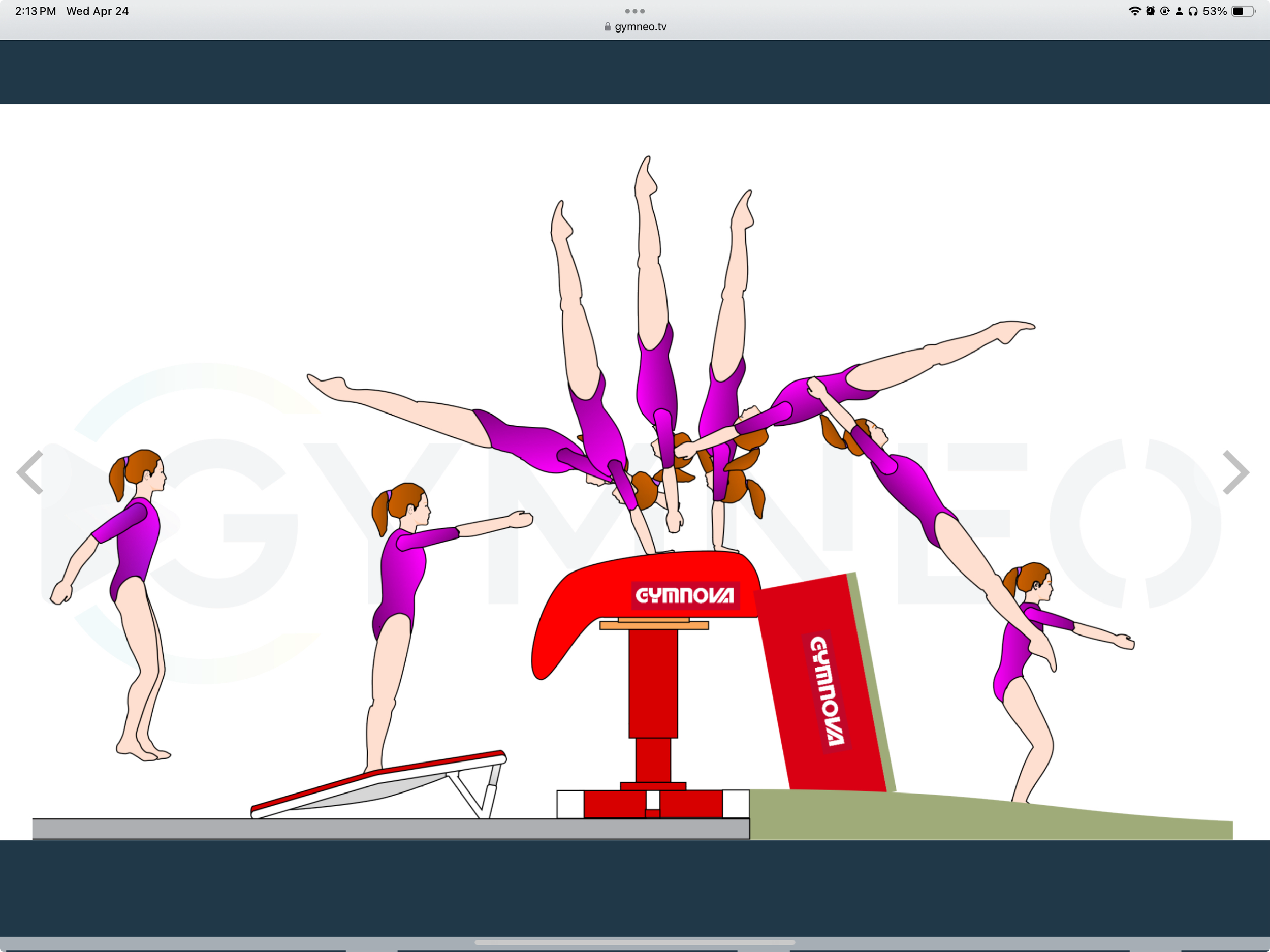 My training list - GymneoTV 36.png