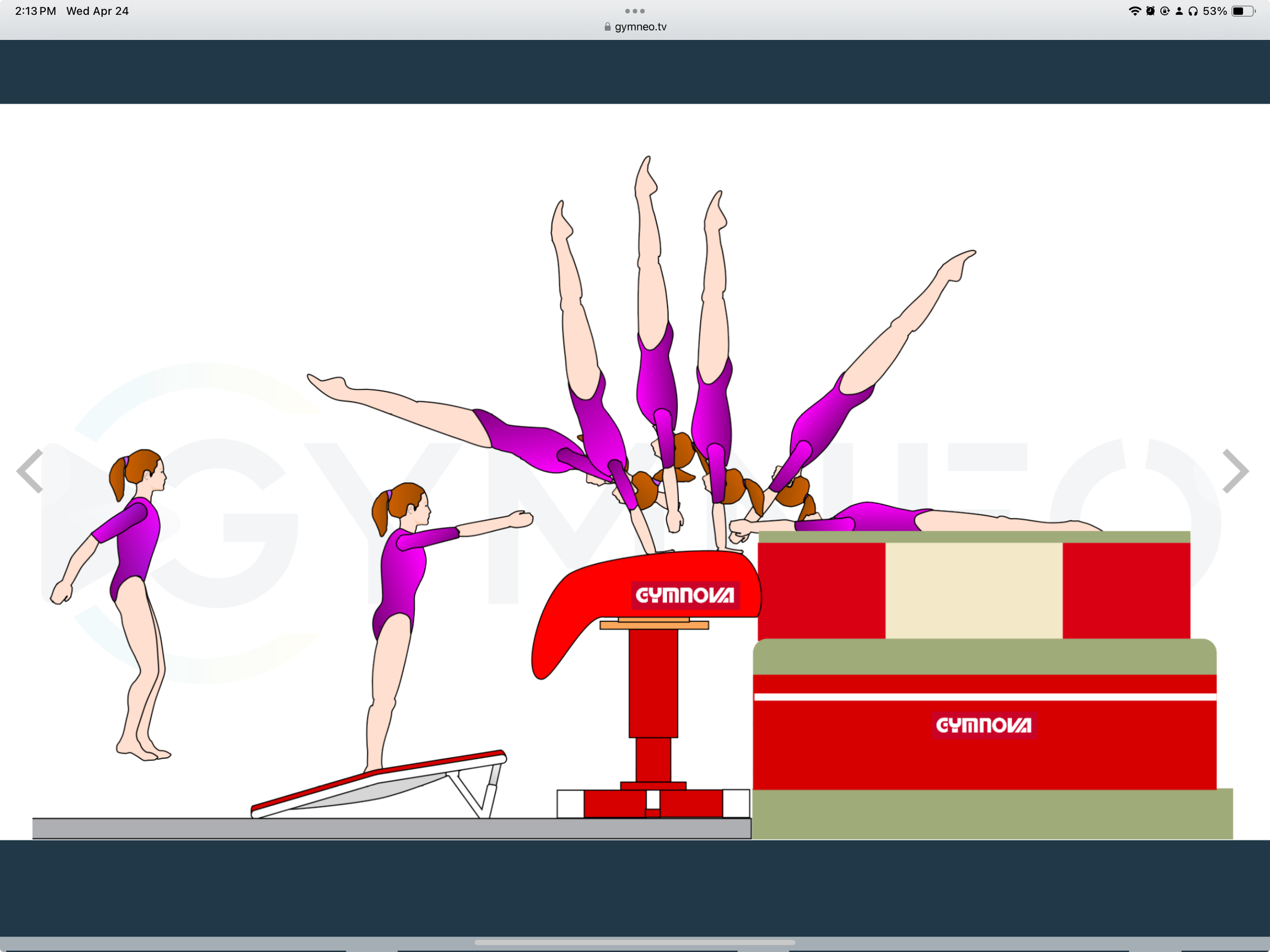 My training list - GymneoTV 37.png