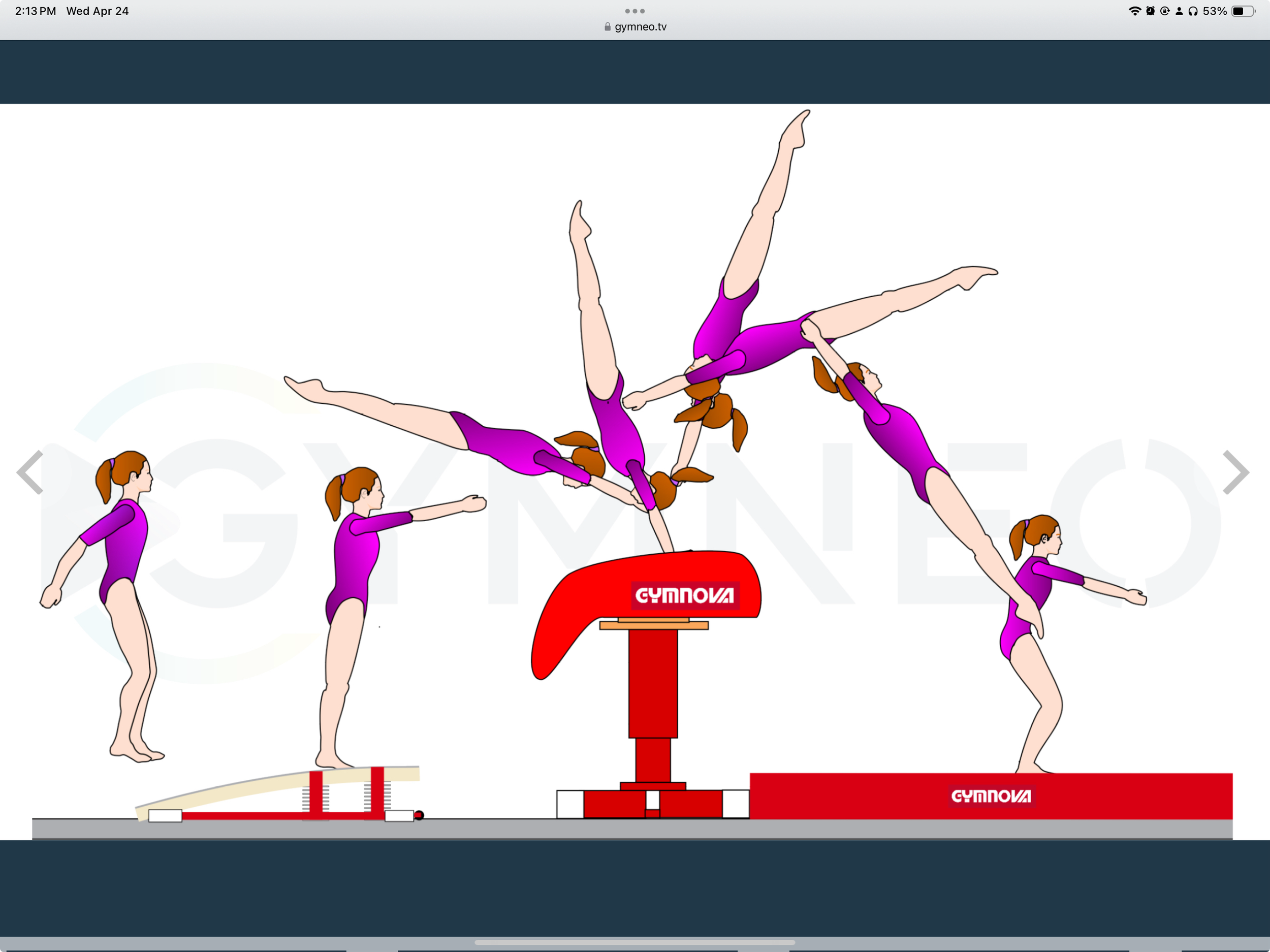 My training list - GymneoTV 40.png