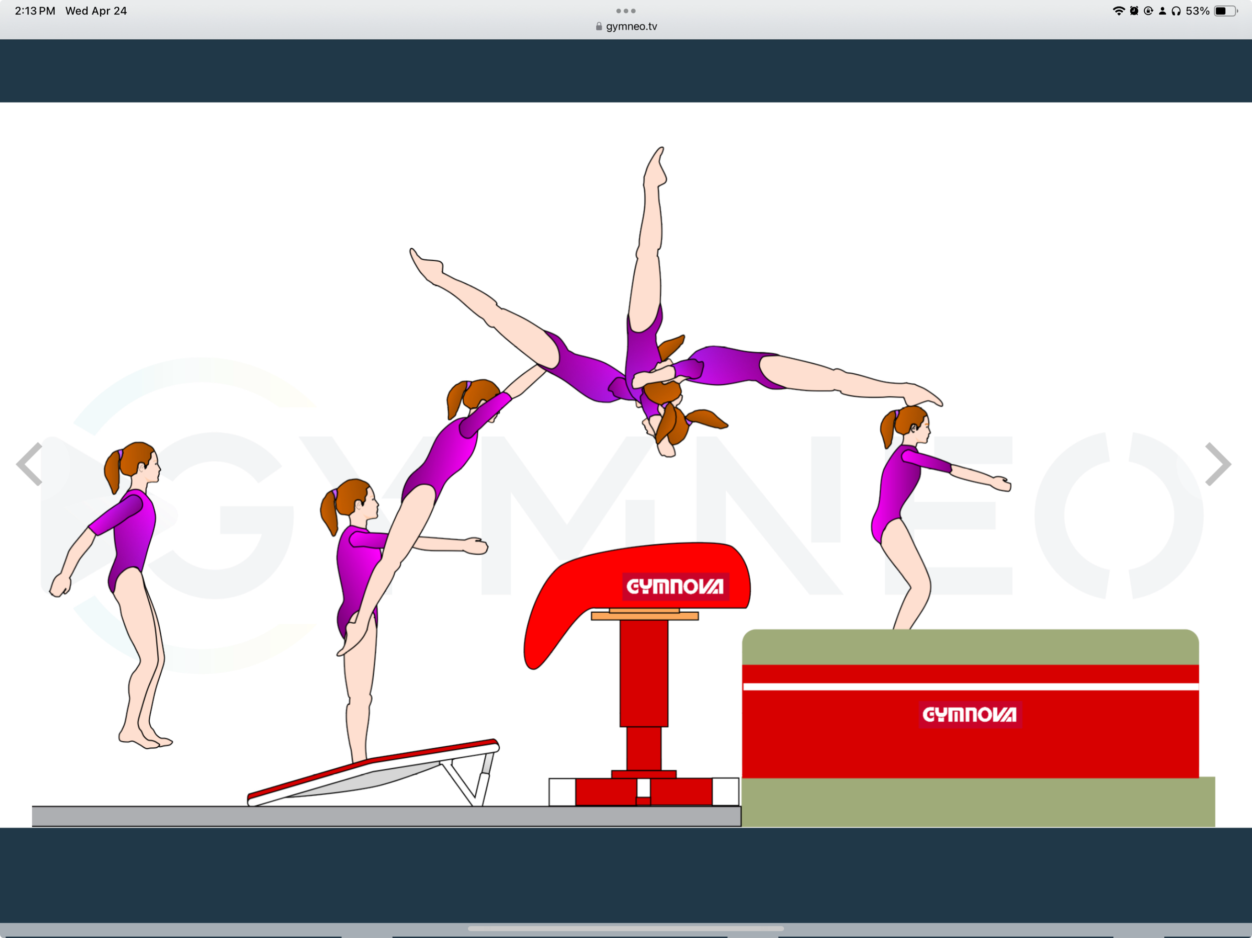 My training list - GymneoTV 41.png