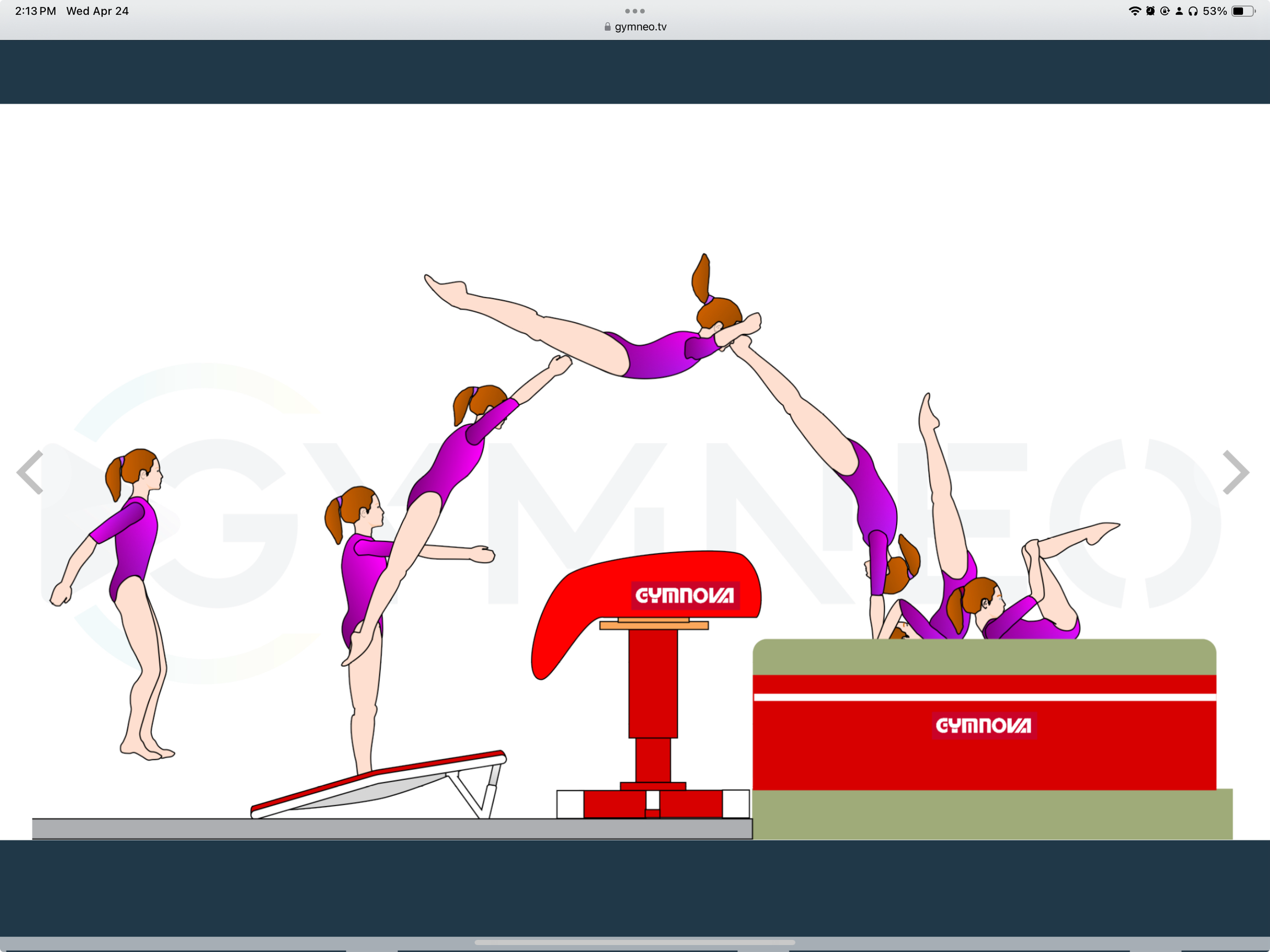 My training list - GymneoTV 43.png