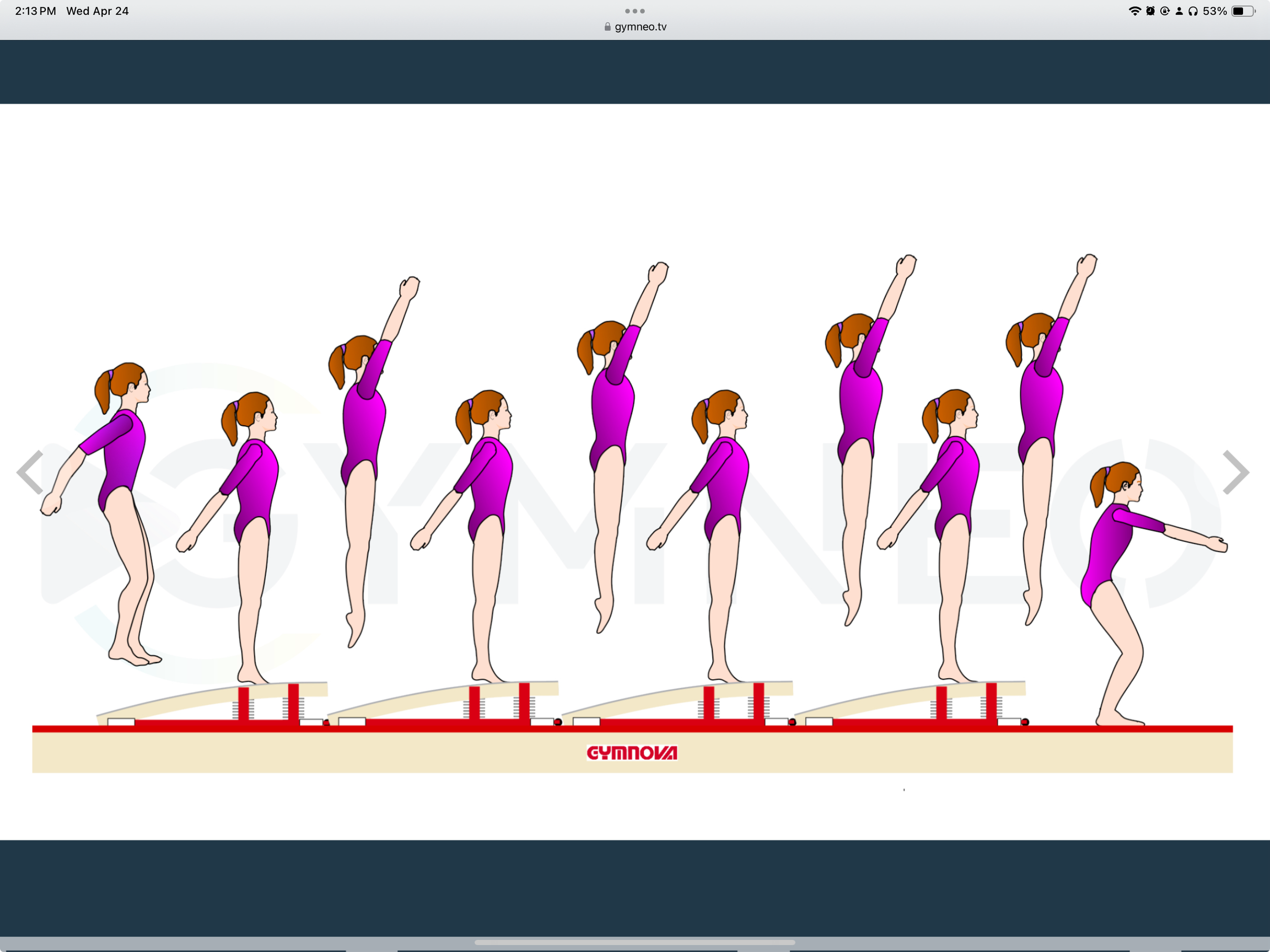 My training list - GymneoTV 49.png