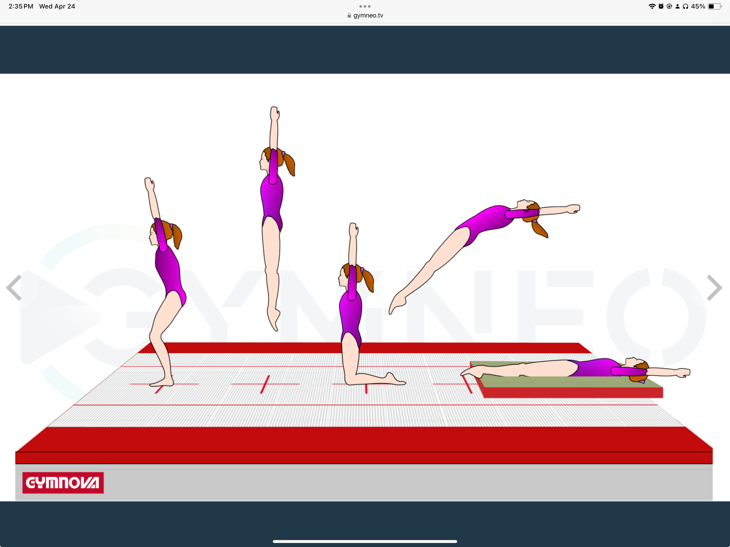 My training list - GymneoTV.jpeg 18.png