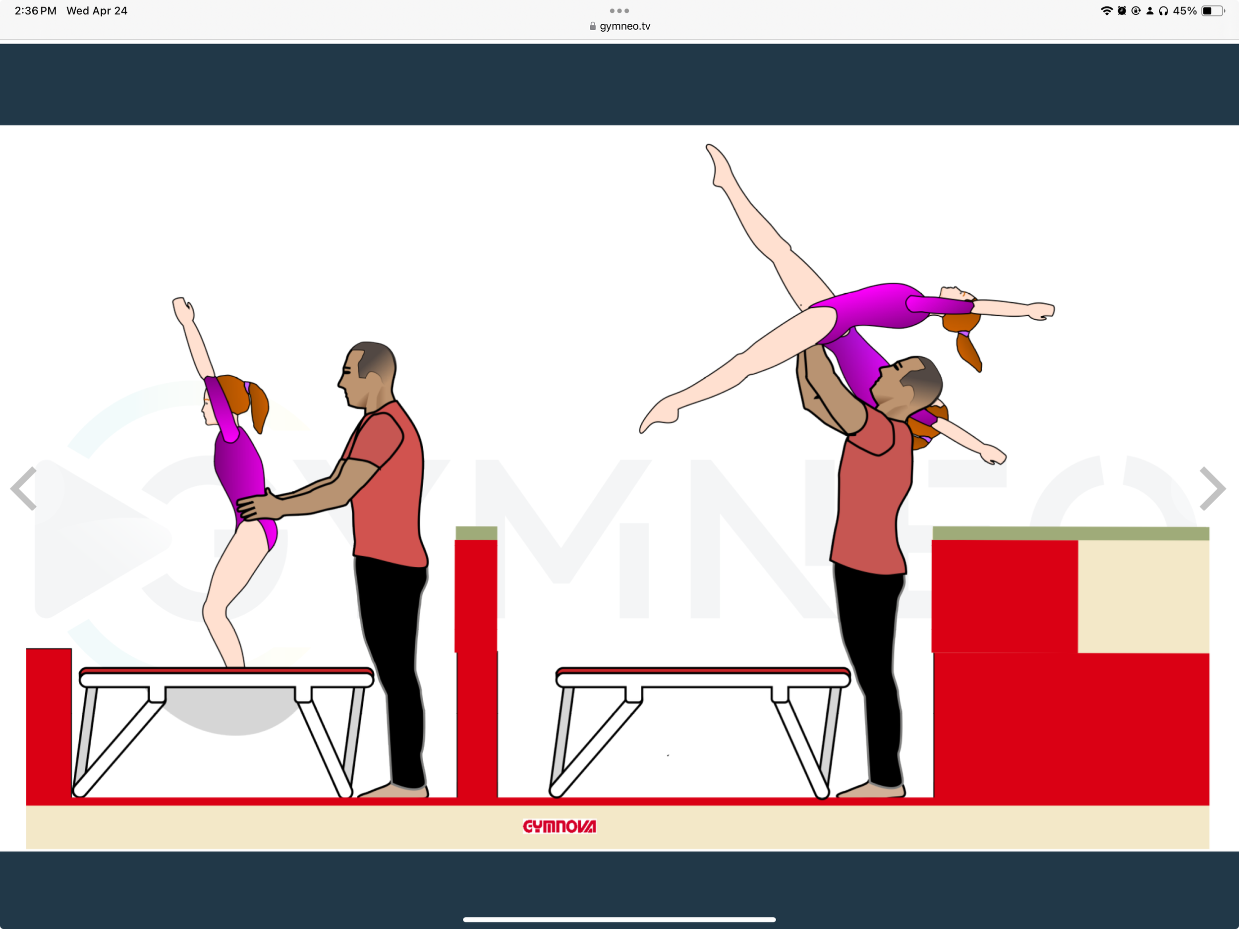 My training list - GymneoTV.jpeg 31.png