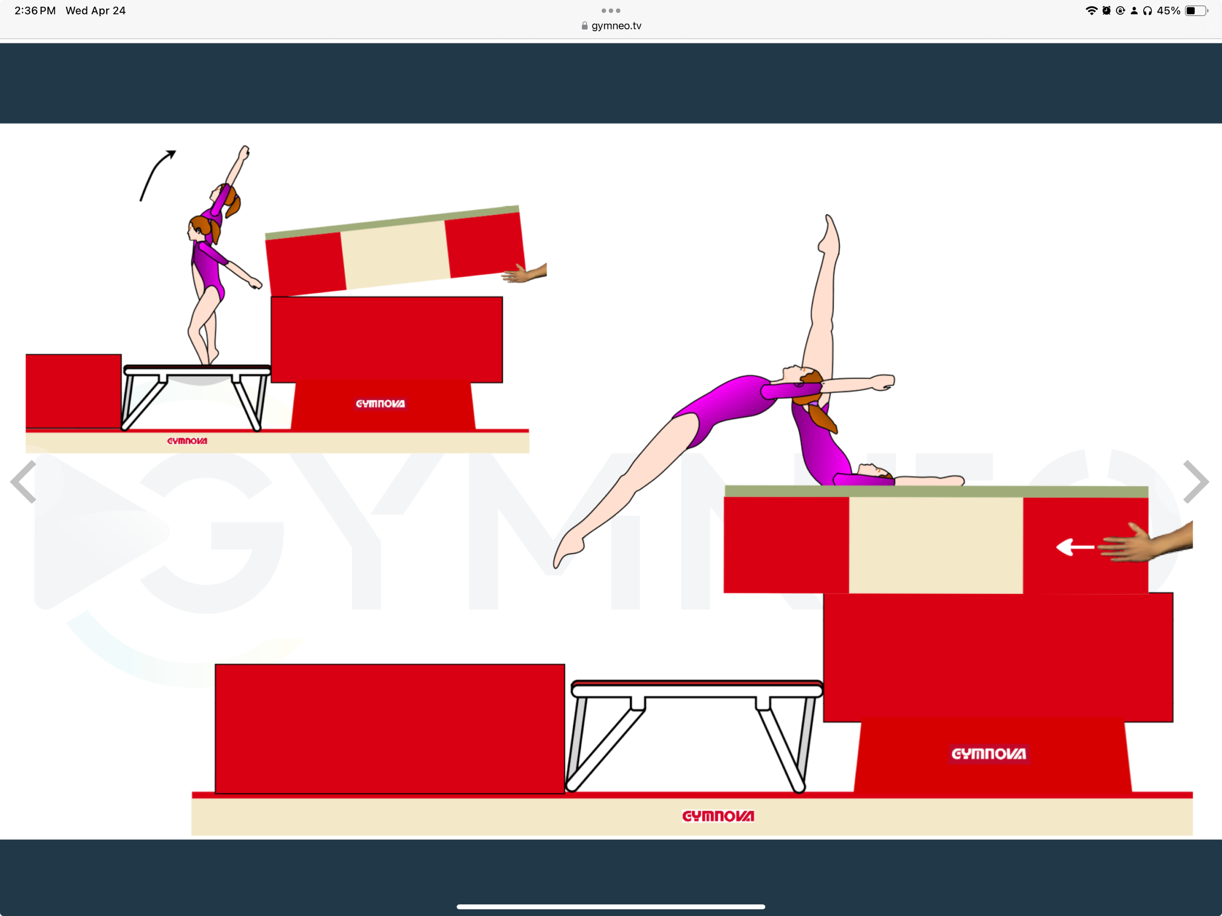 My training list - GymneoTV.jpeg 34.png