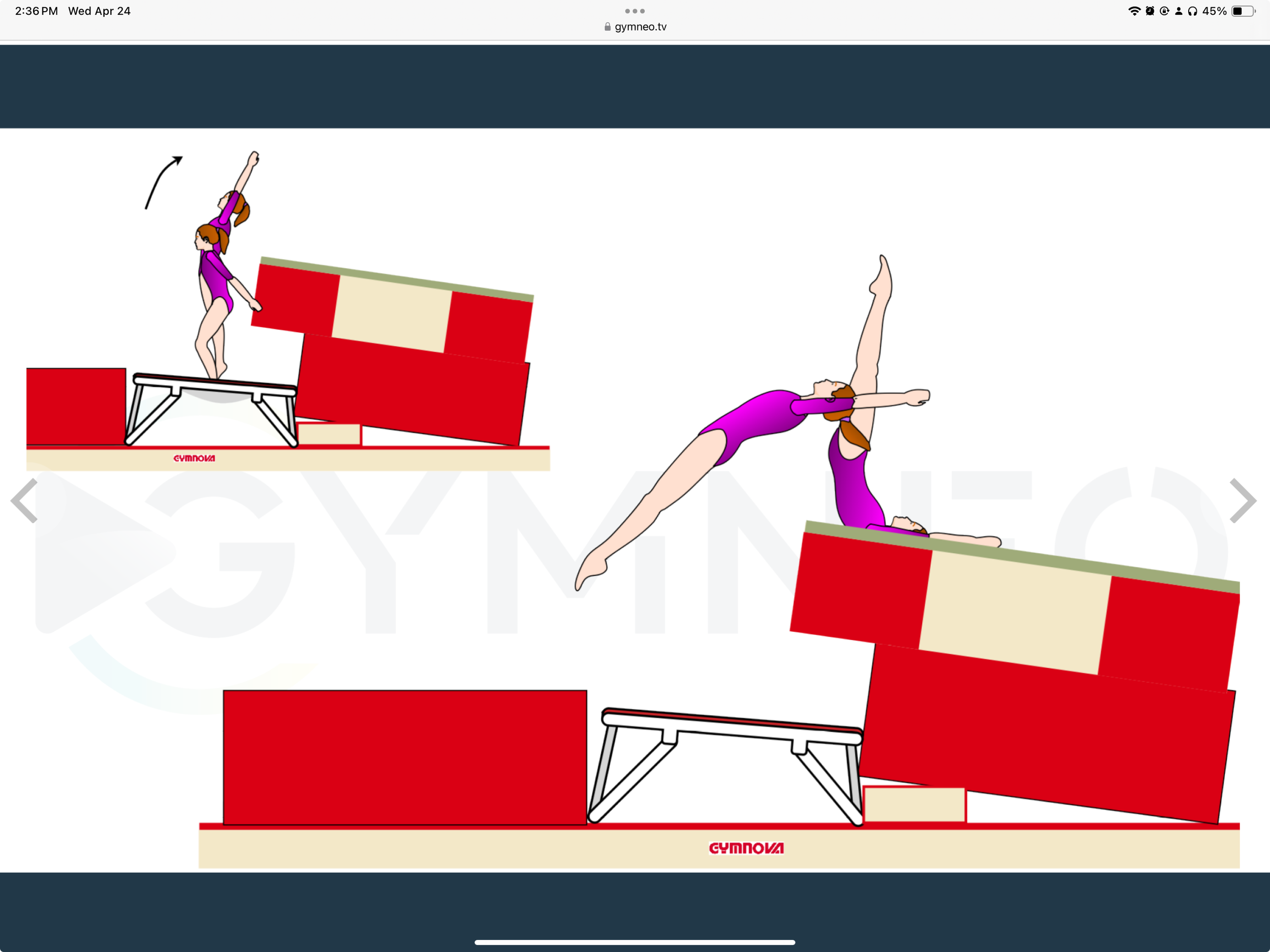 My training list - GymneoTV.jpeg 35.png