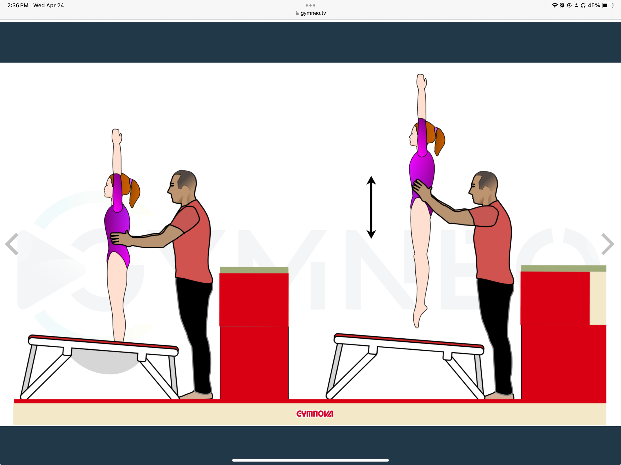 My training list - GymneoTV.jpeg 39.png