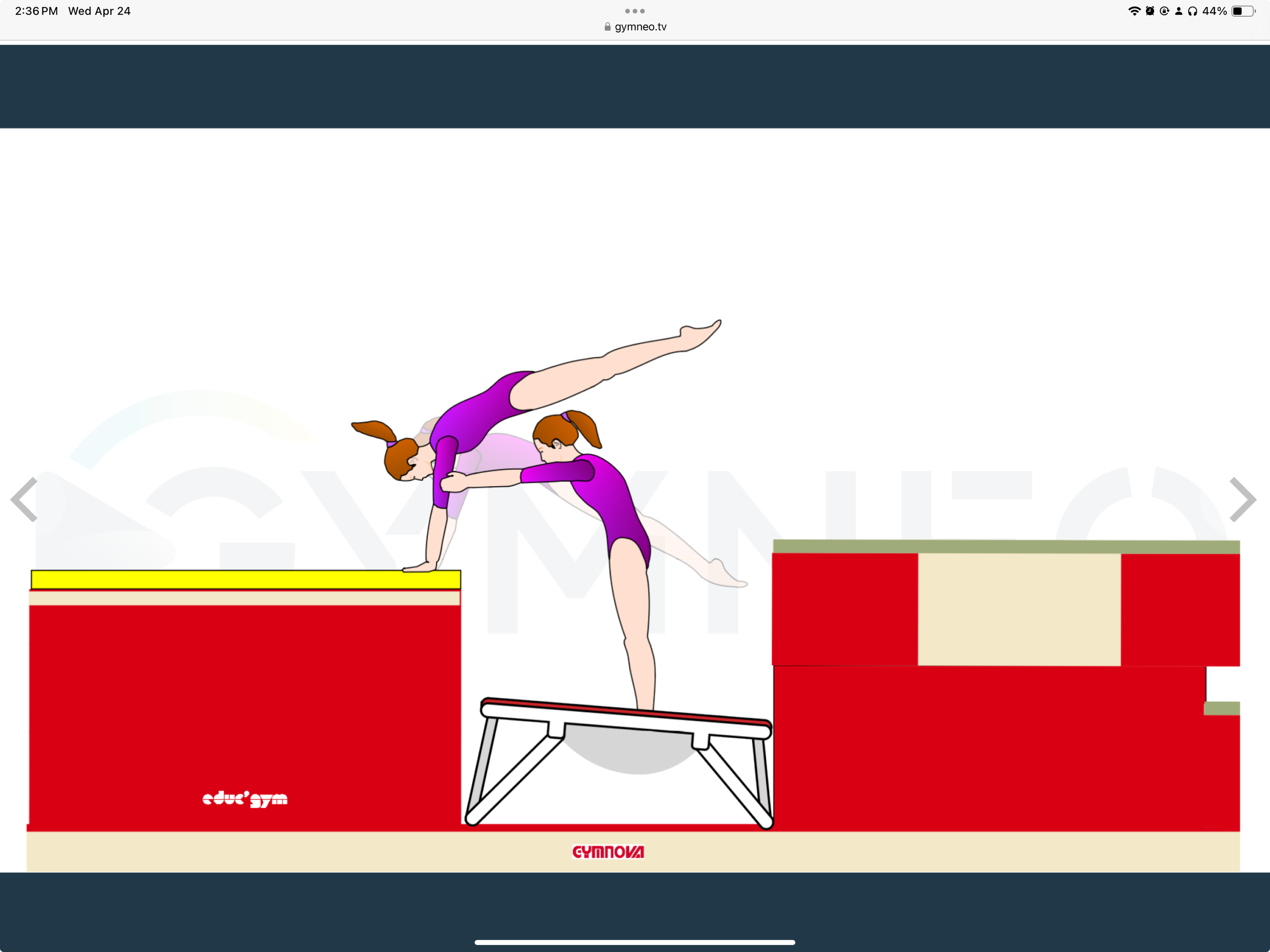 My training list - GymneoTV.jpeg 42.png