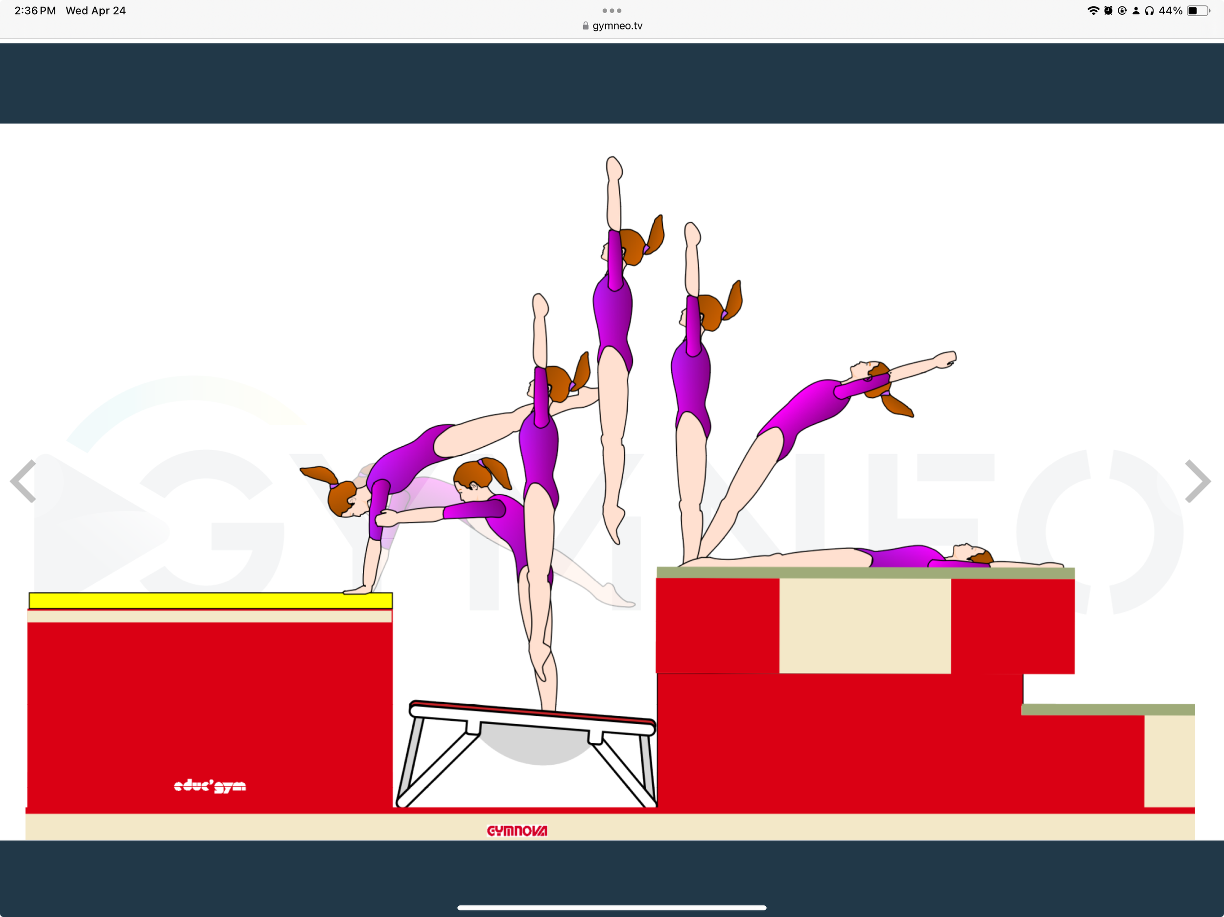 My training list - GymneoTV.jpeg 44.png