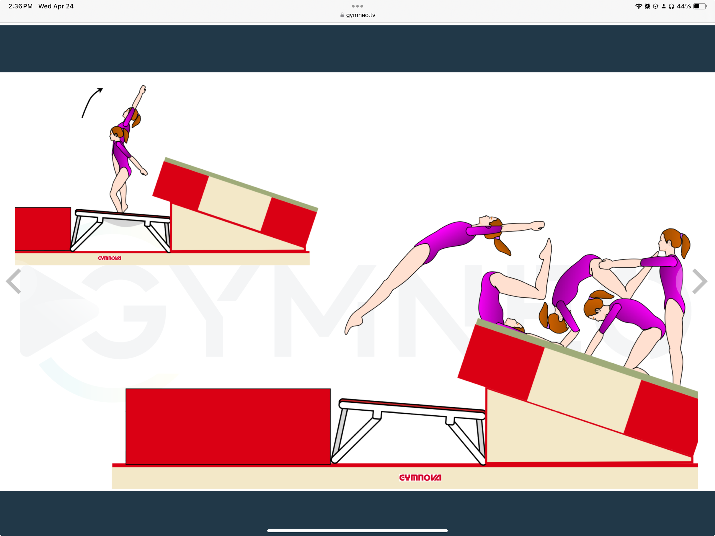 My training list - GymneoTV.jpeg 56.png