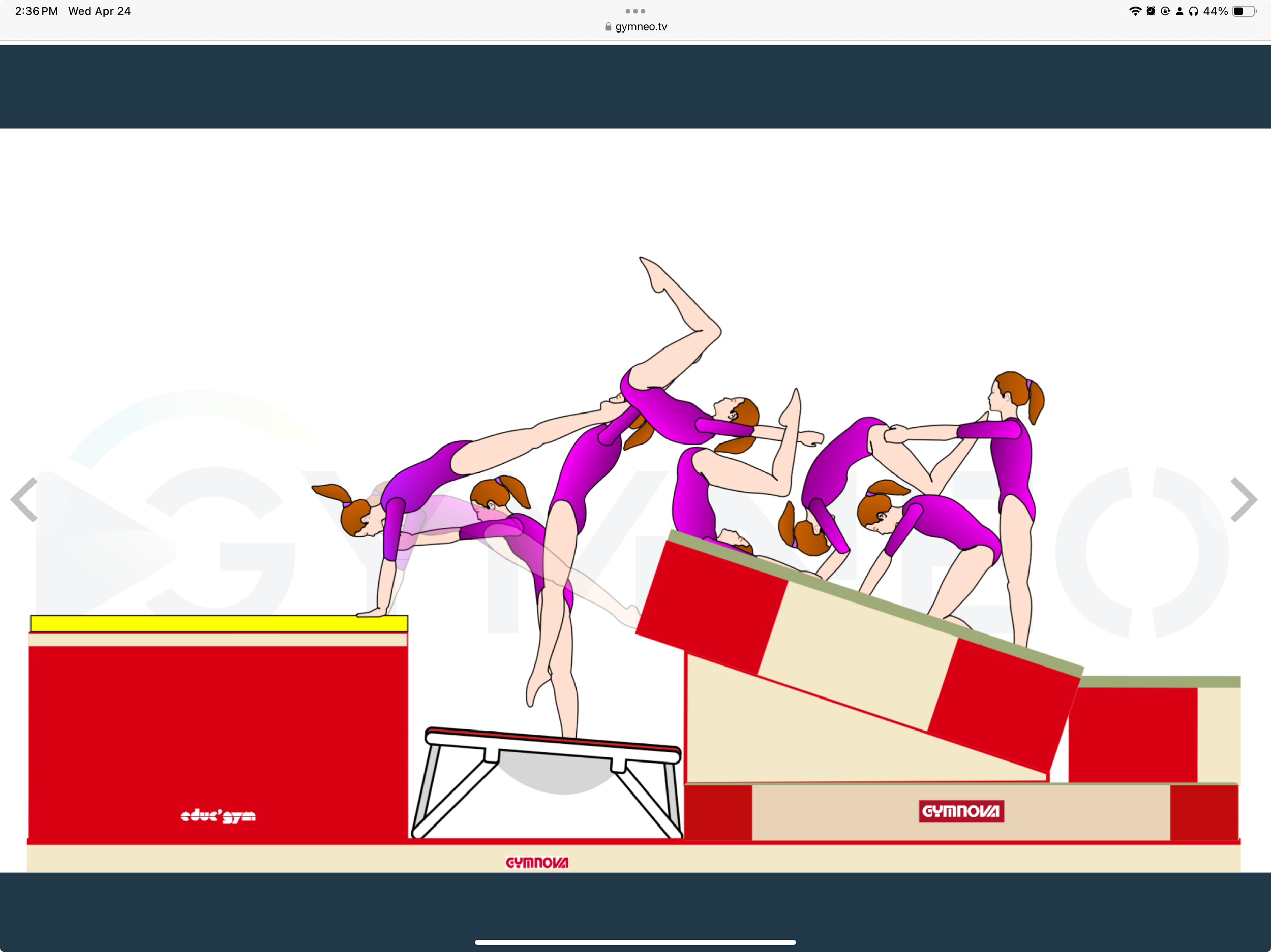 My training list - GymneoTV.jpeg 58.png