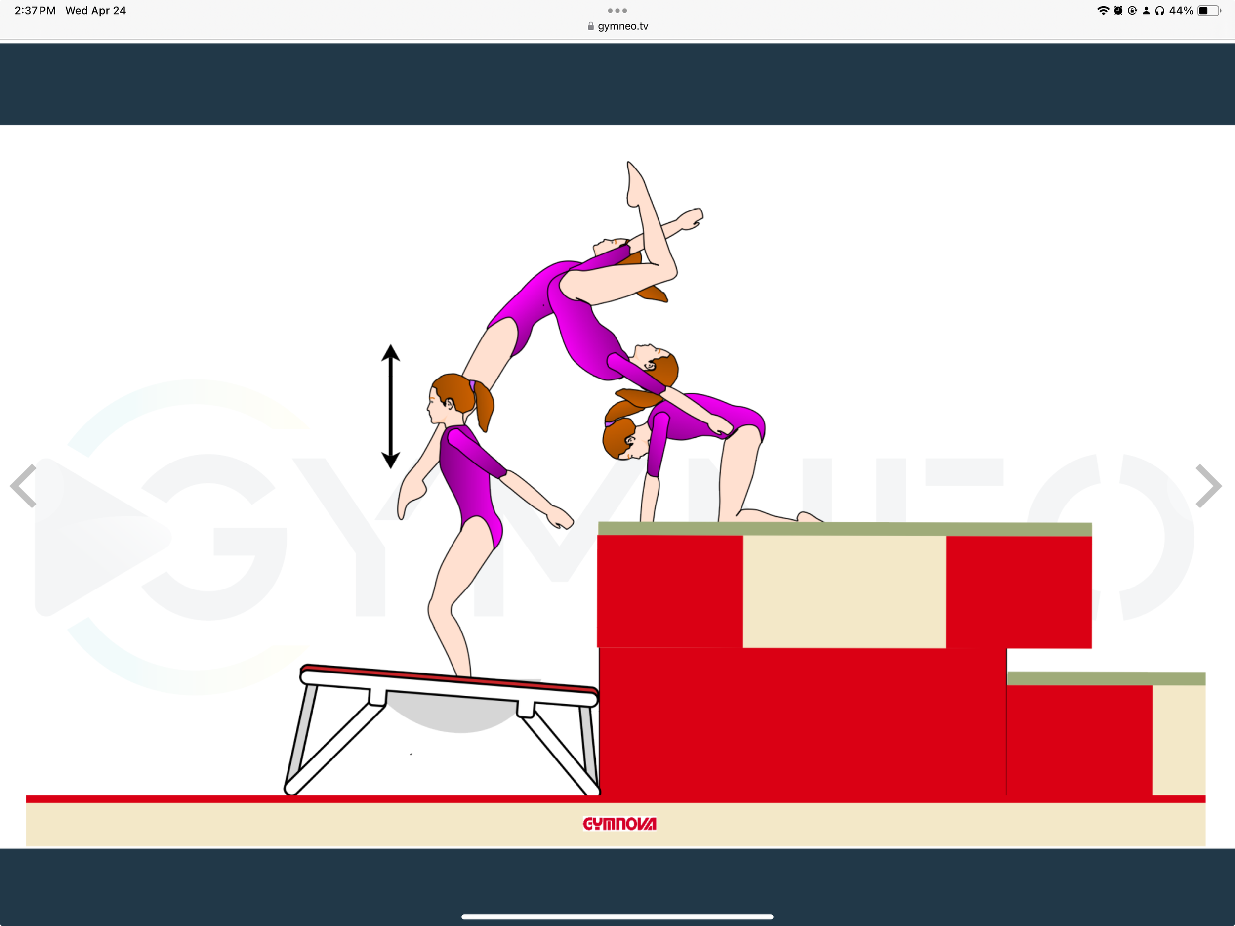 My training list - GymneoTV.jpeg 65.png