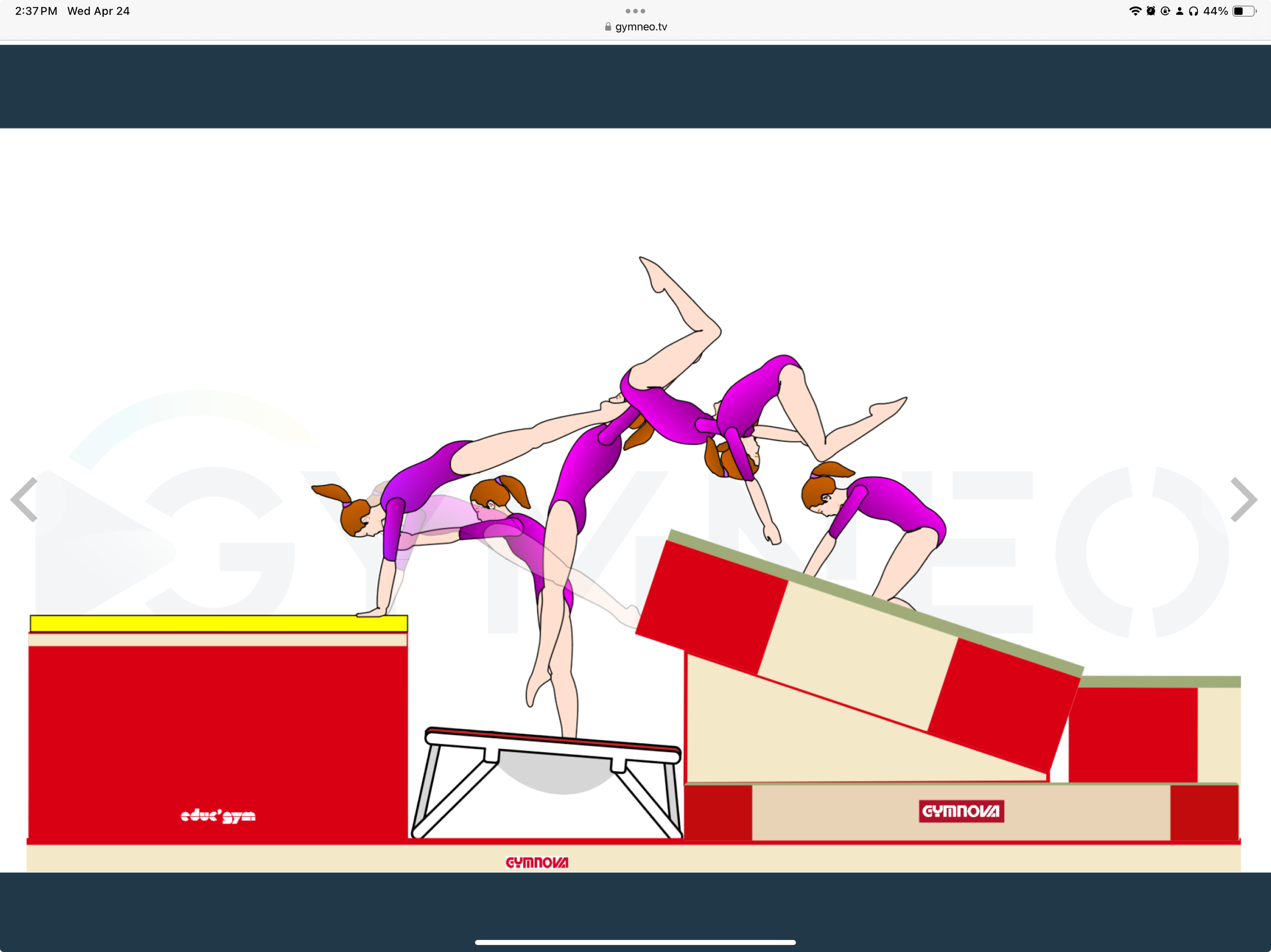 My training list - GymneoTV.jpeg 66.png