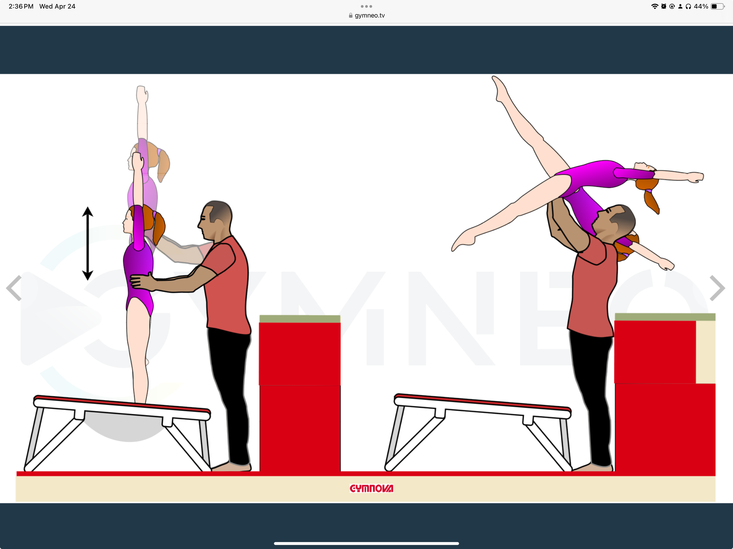 My training list - GymneoTV.jpeg 40.png