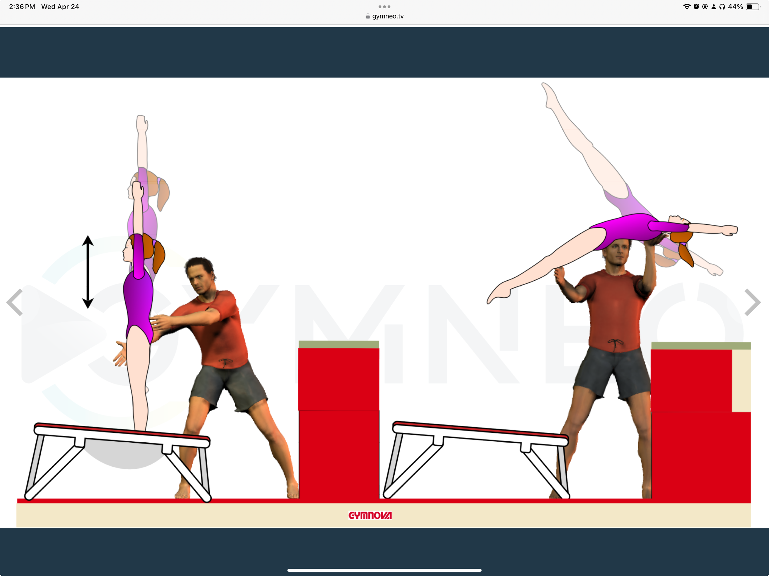 My training list - GymneoTV.jpeg 41.png