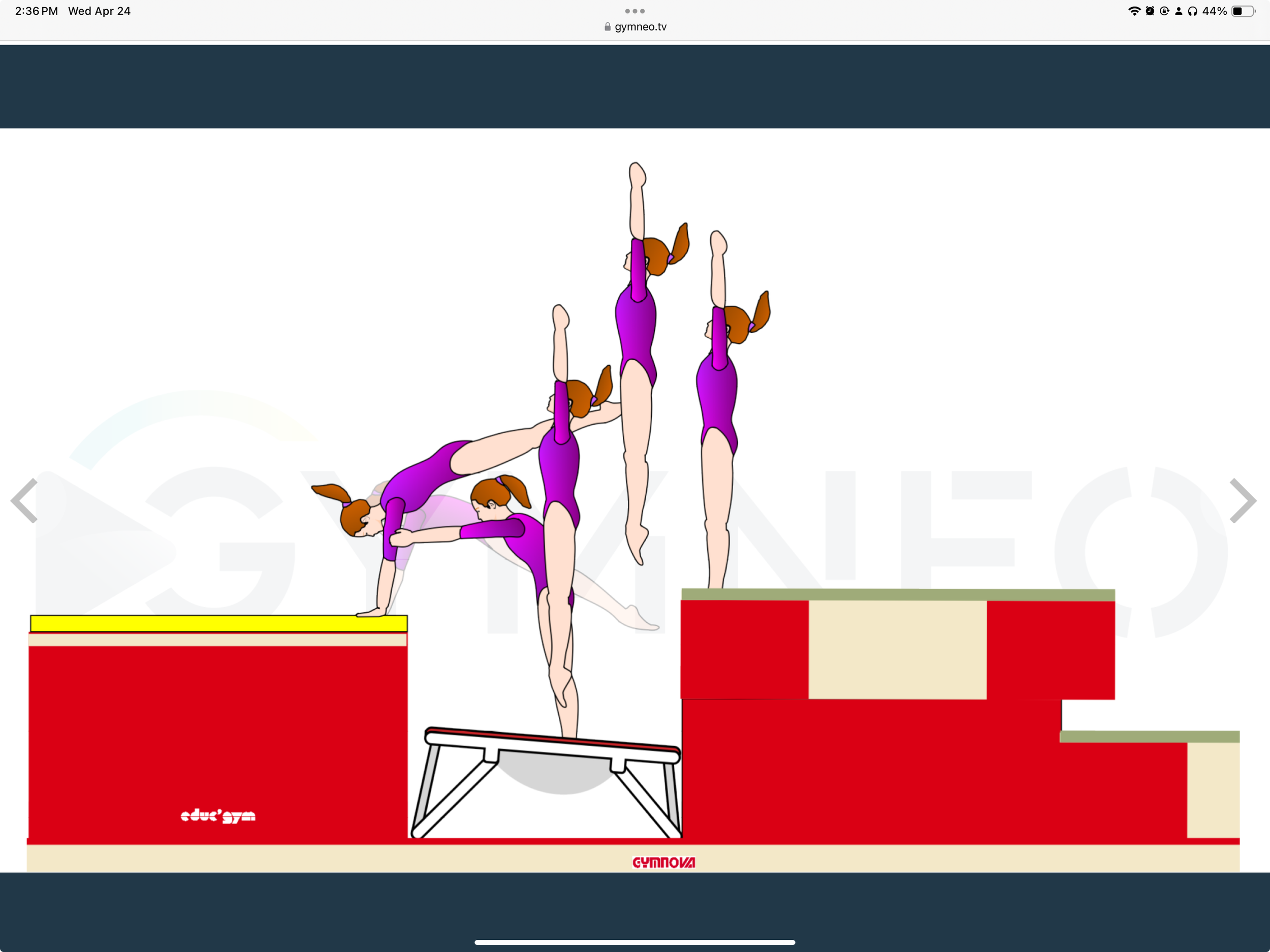 My training list - GymneoTV.jpeg 43.png