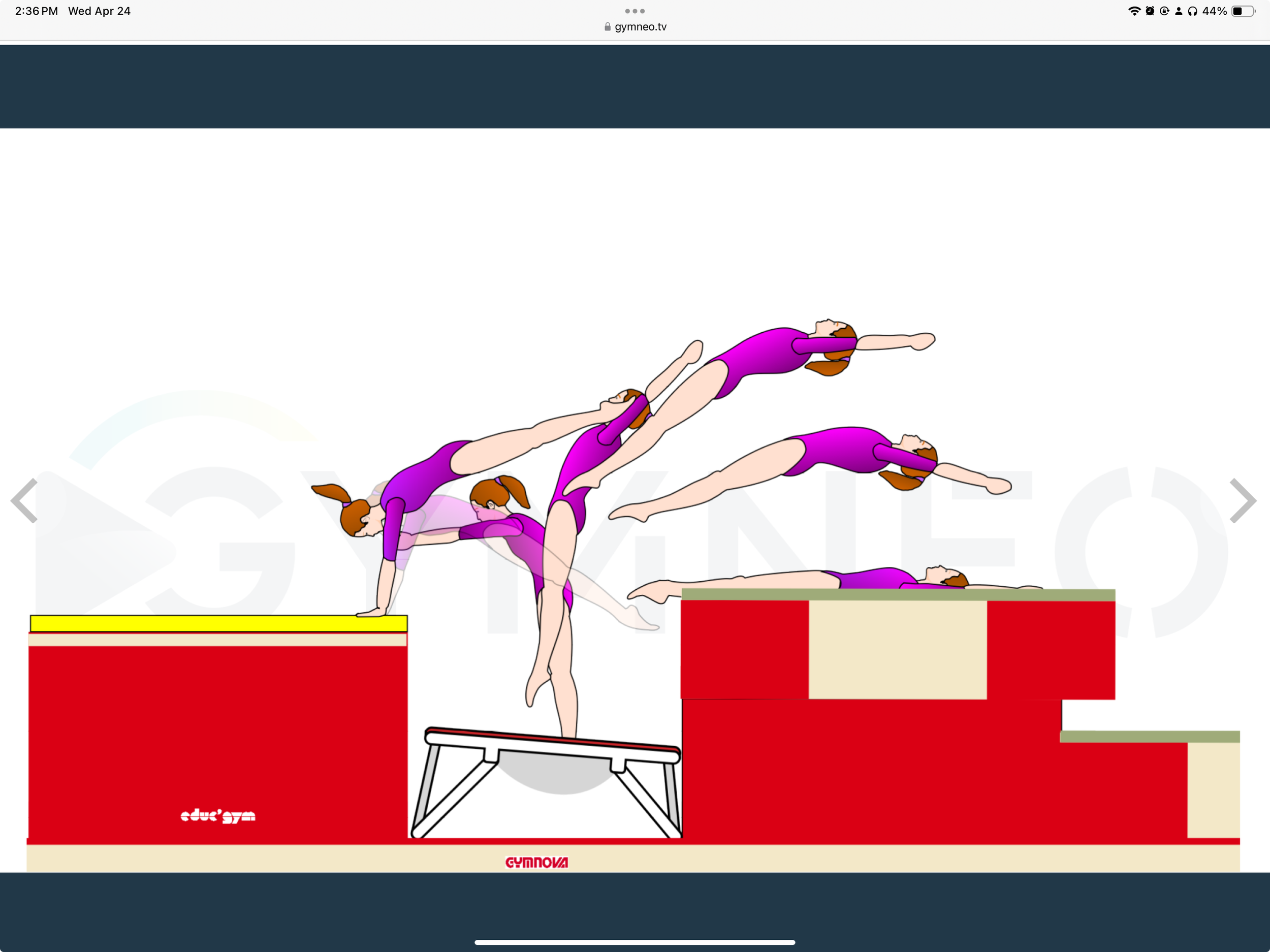 My training list - GymneoTV.jpeg 45.png