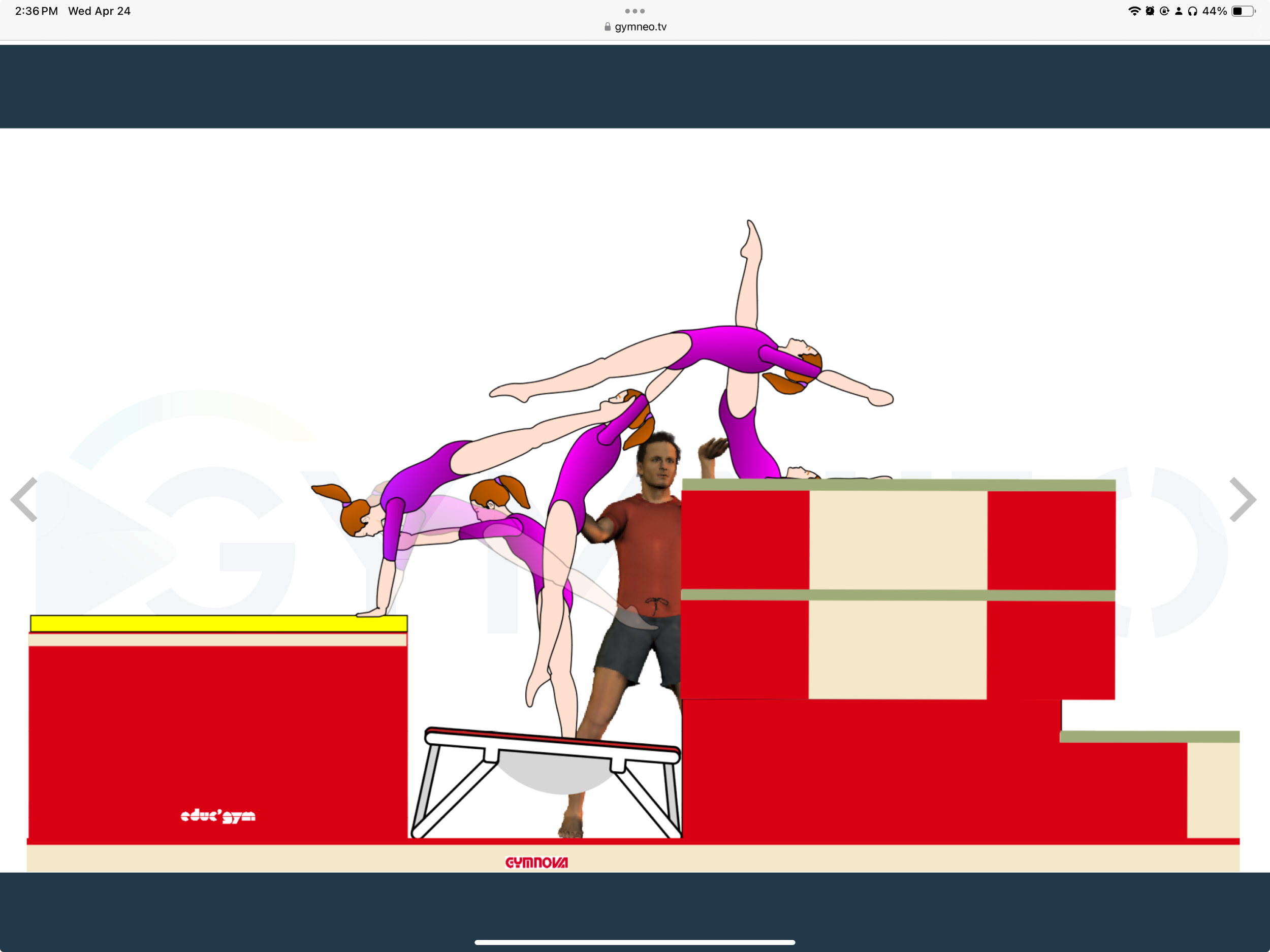 My training list - GymneoTV.jpeg 46.png