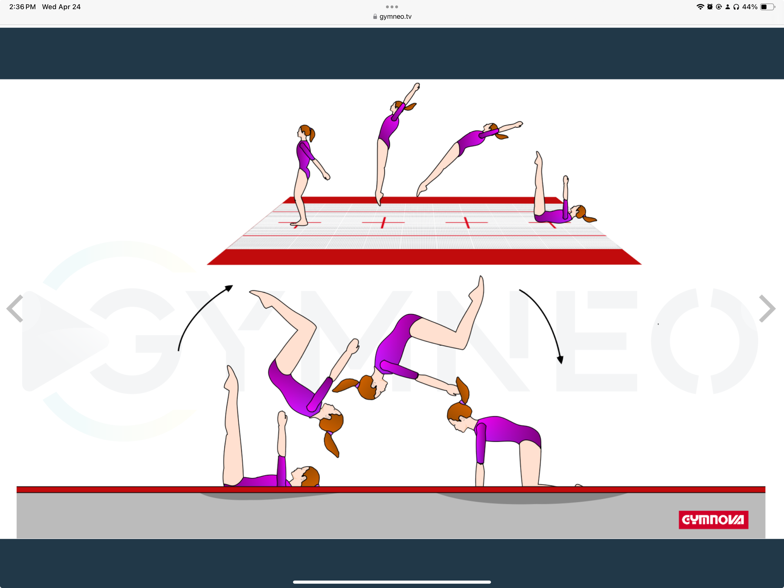 My training list - GymneoTV.jpeg 49.png