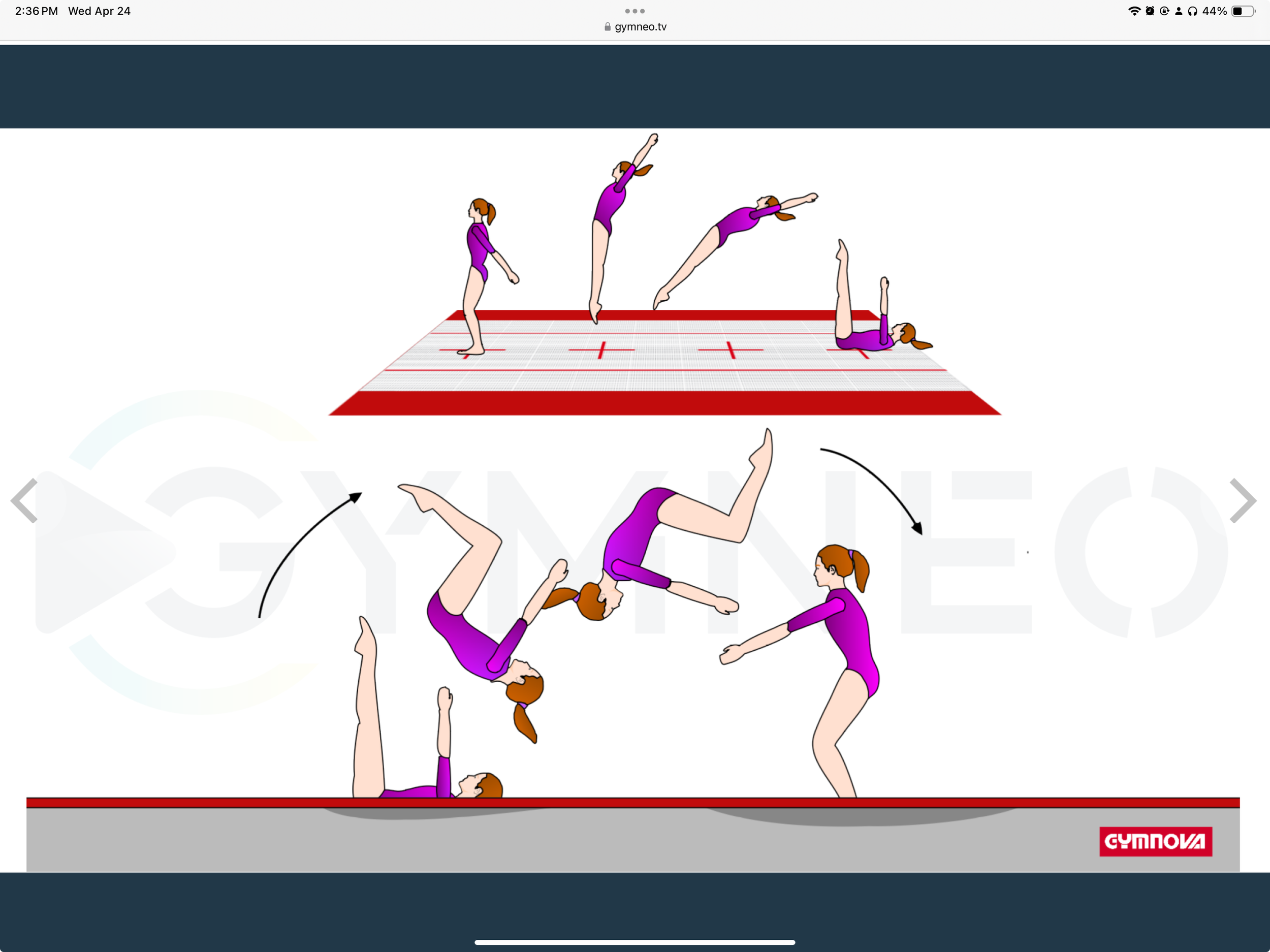 My training list - GymneoTV.jpeg 50.png