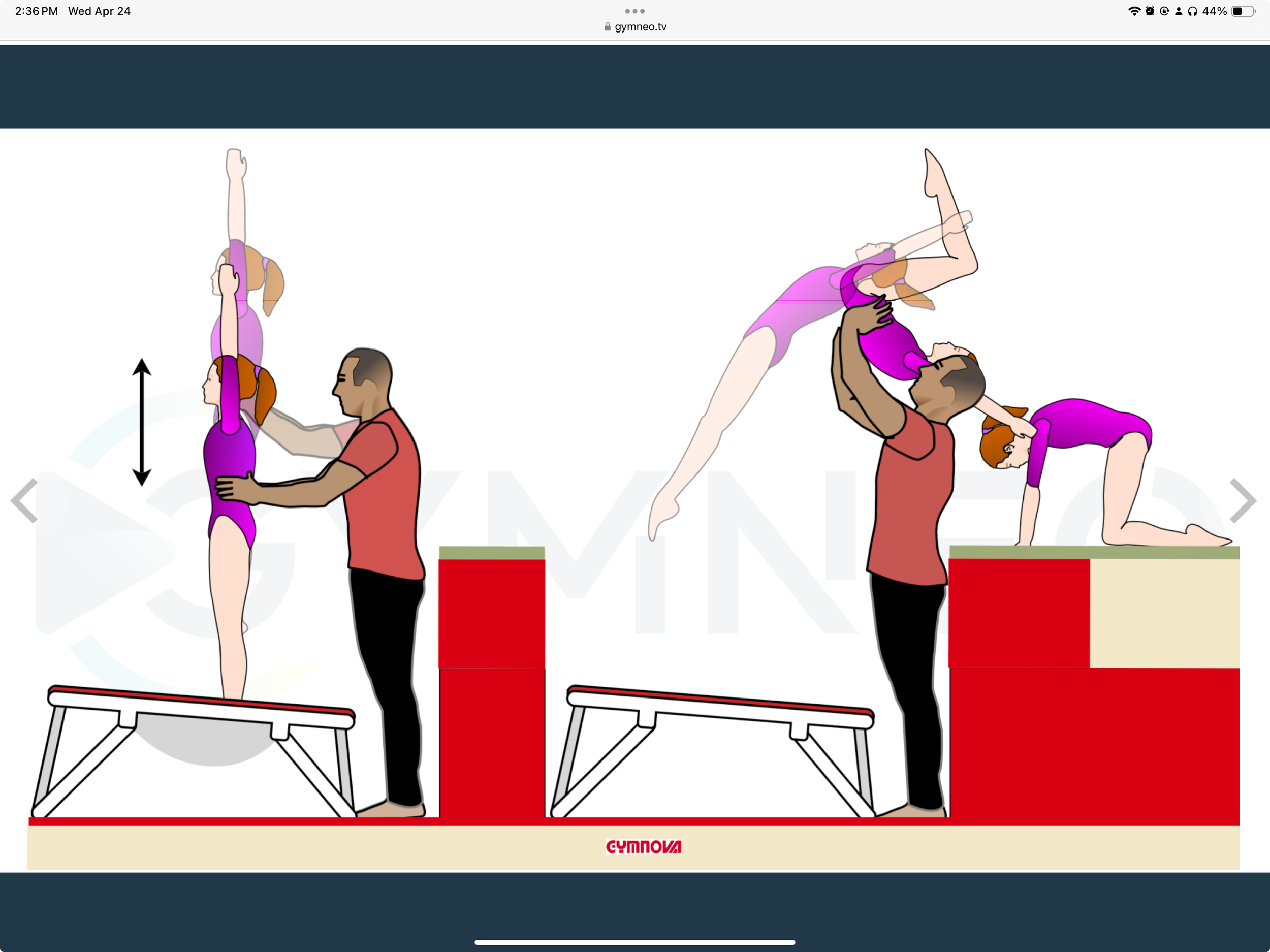 My training list - GymneoTV.jpeg 52.png