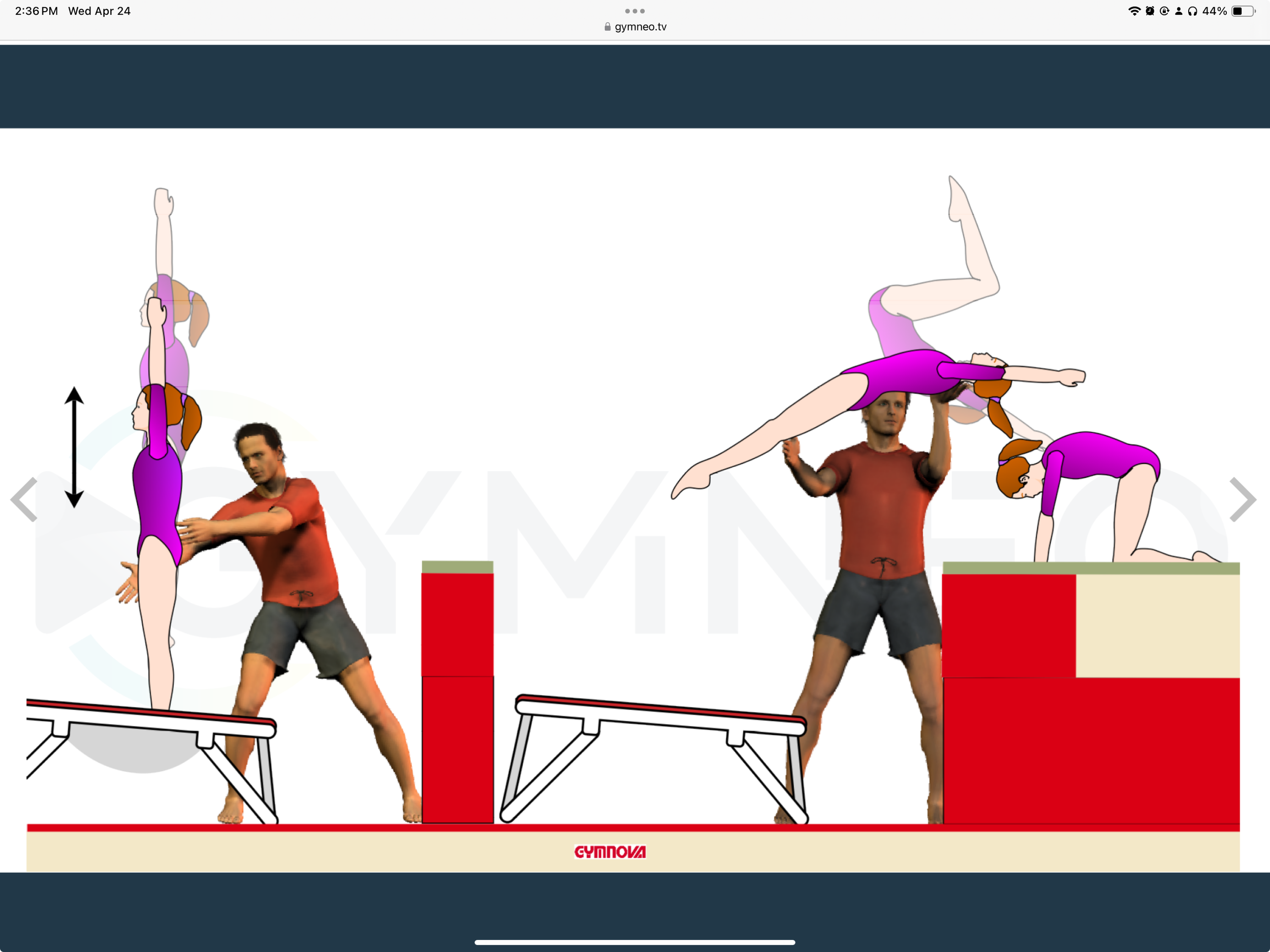 My training list - GymneoTV.jpeg 53.png