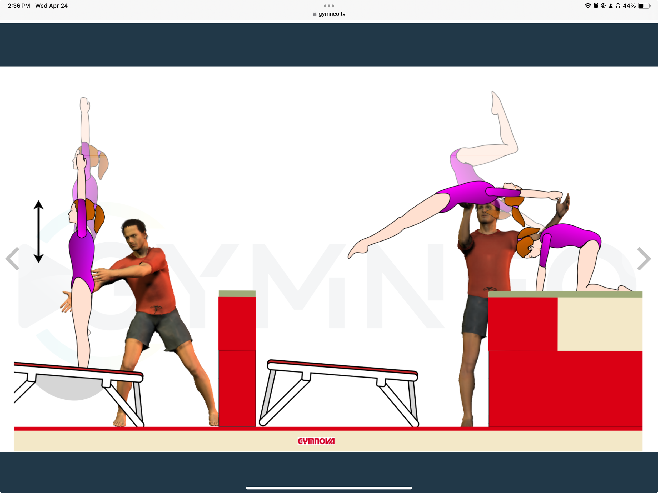 My training list - GymneoTV.jpeg 54.png