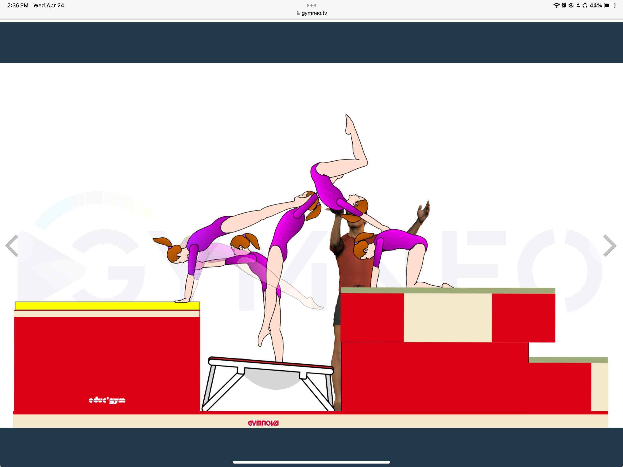 My training list - GymneoTV.jpeg 55.png