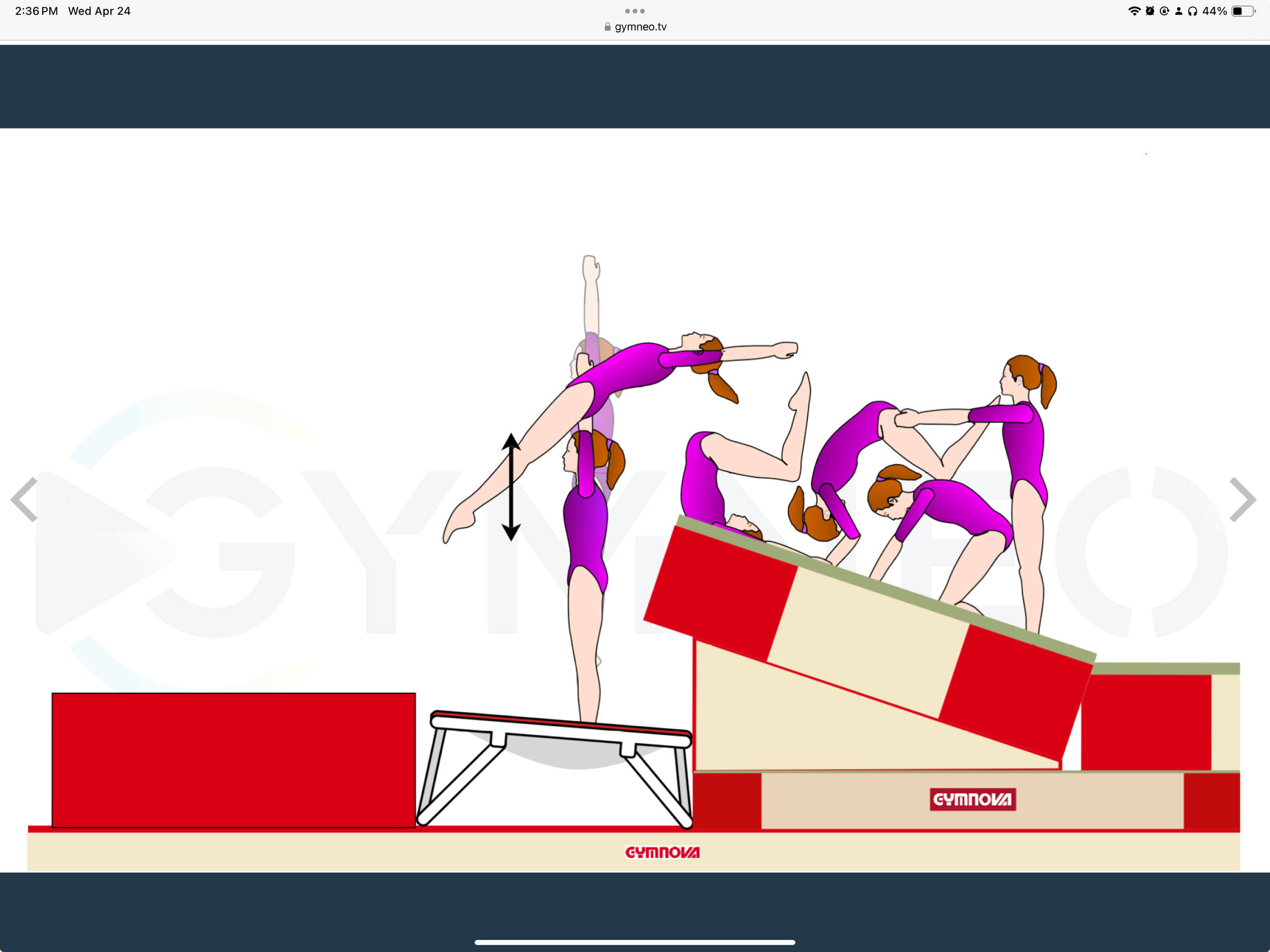 My training list - GymneoTV.jpeg 57.png