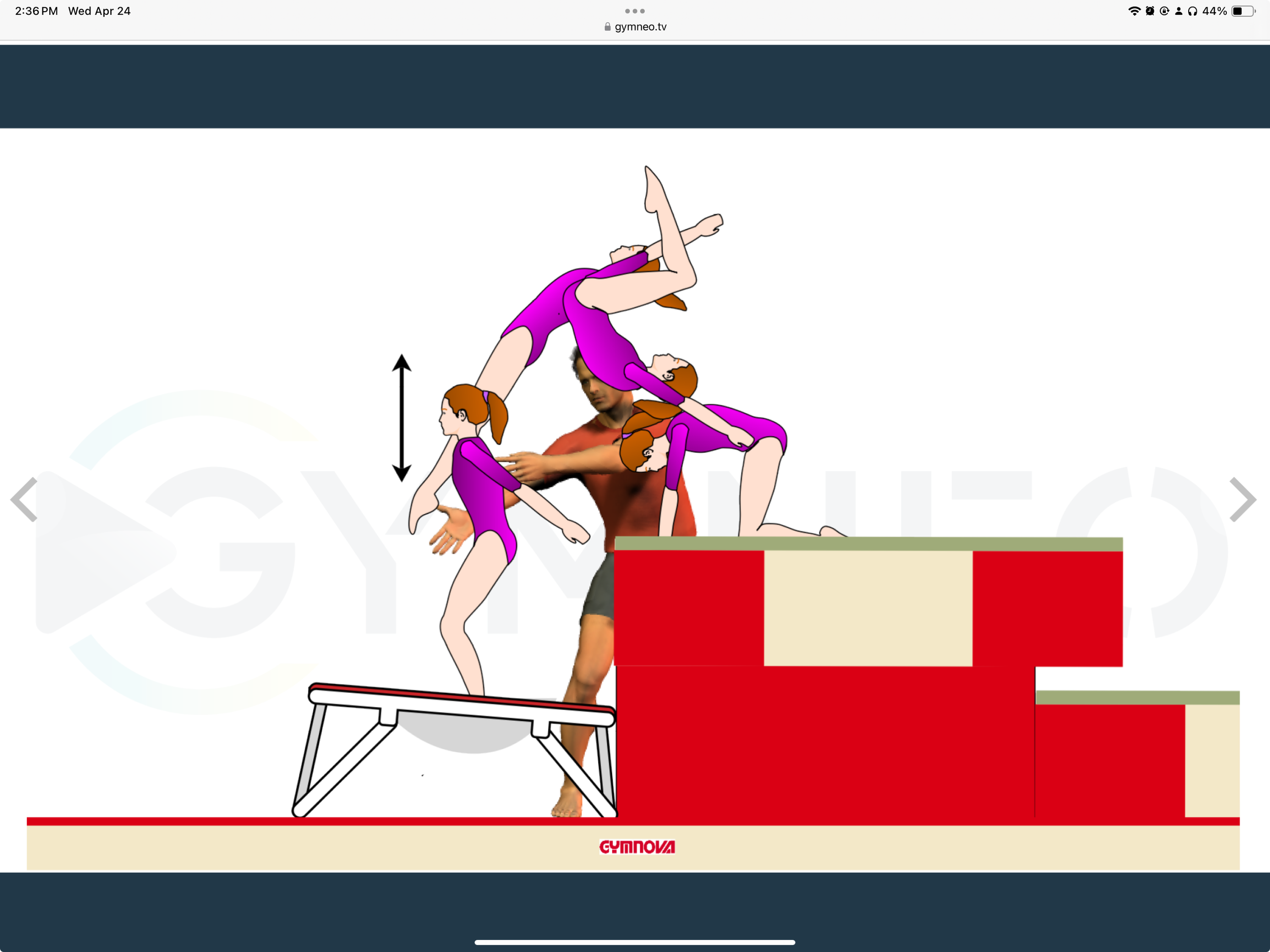 My training list - GymneoTV.jpeg 61.png