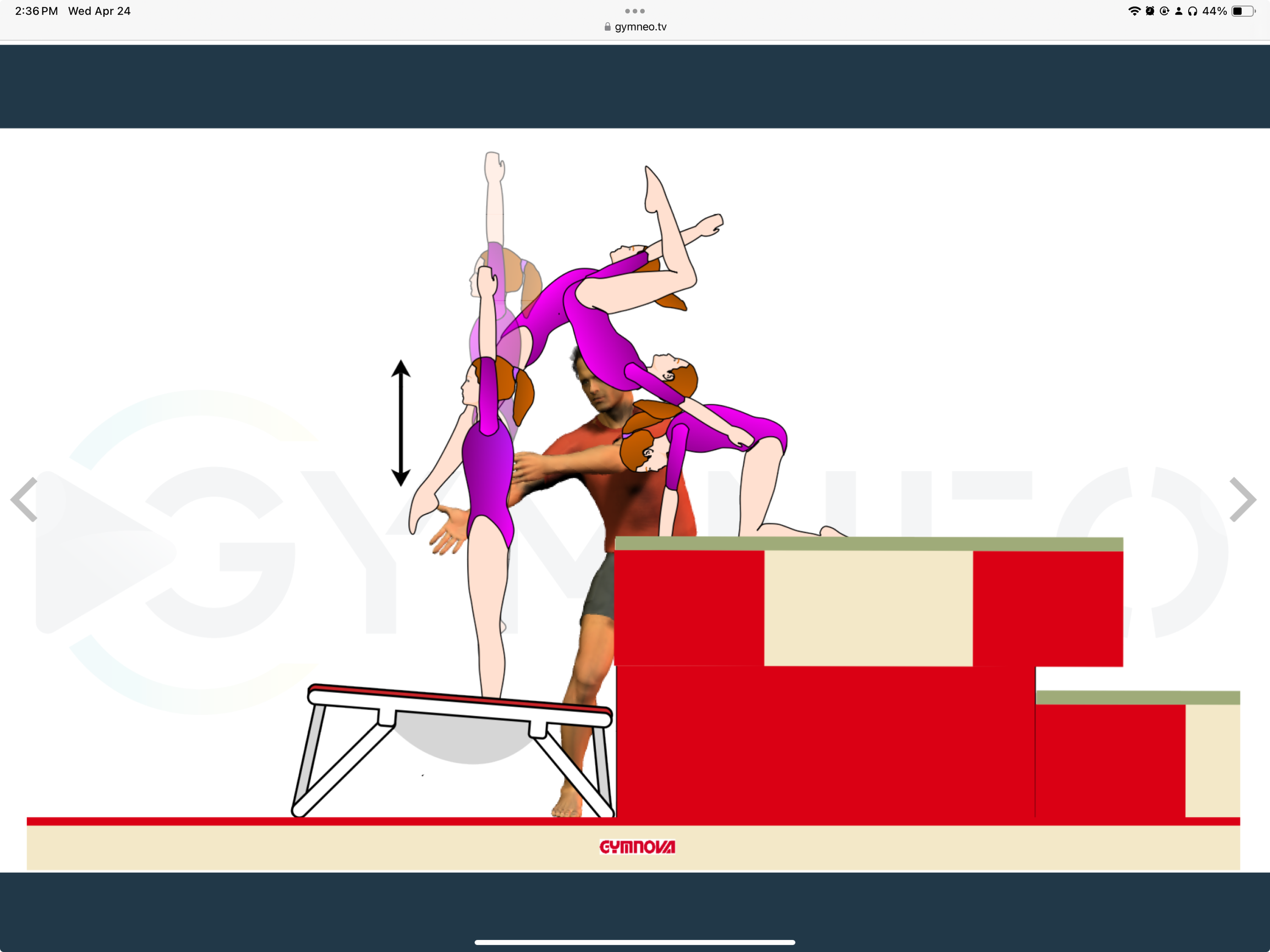 My training list - GymneoTV.jpeg 62.png