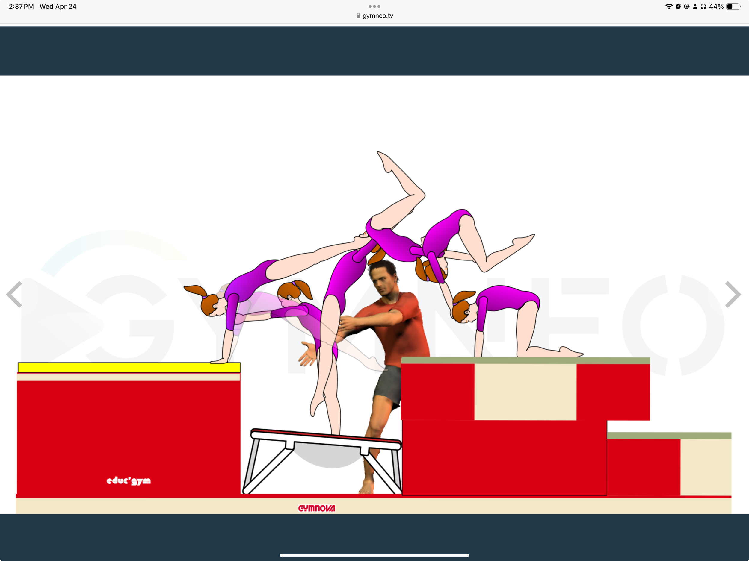 My training list - GymneoTV.jpeg 63.png