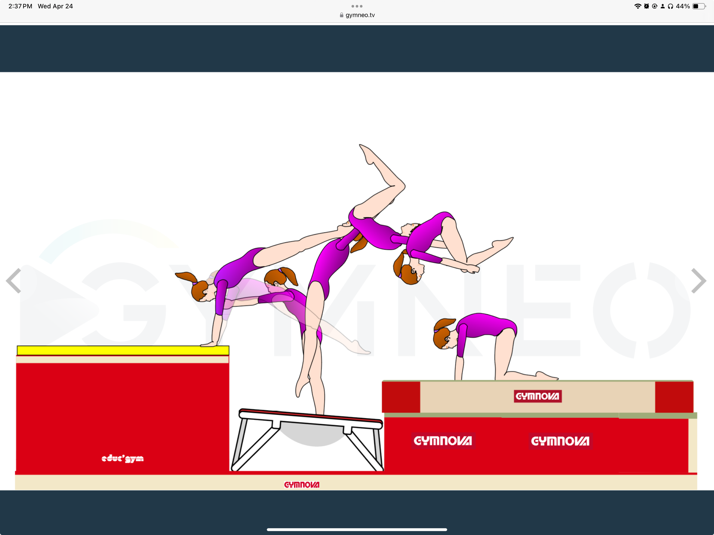 My training list - GymneoTV.jpeg 67.png