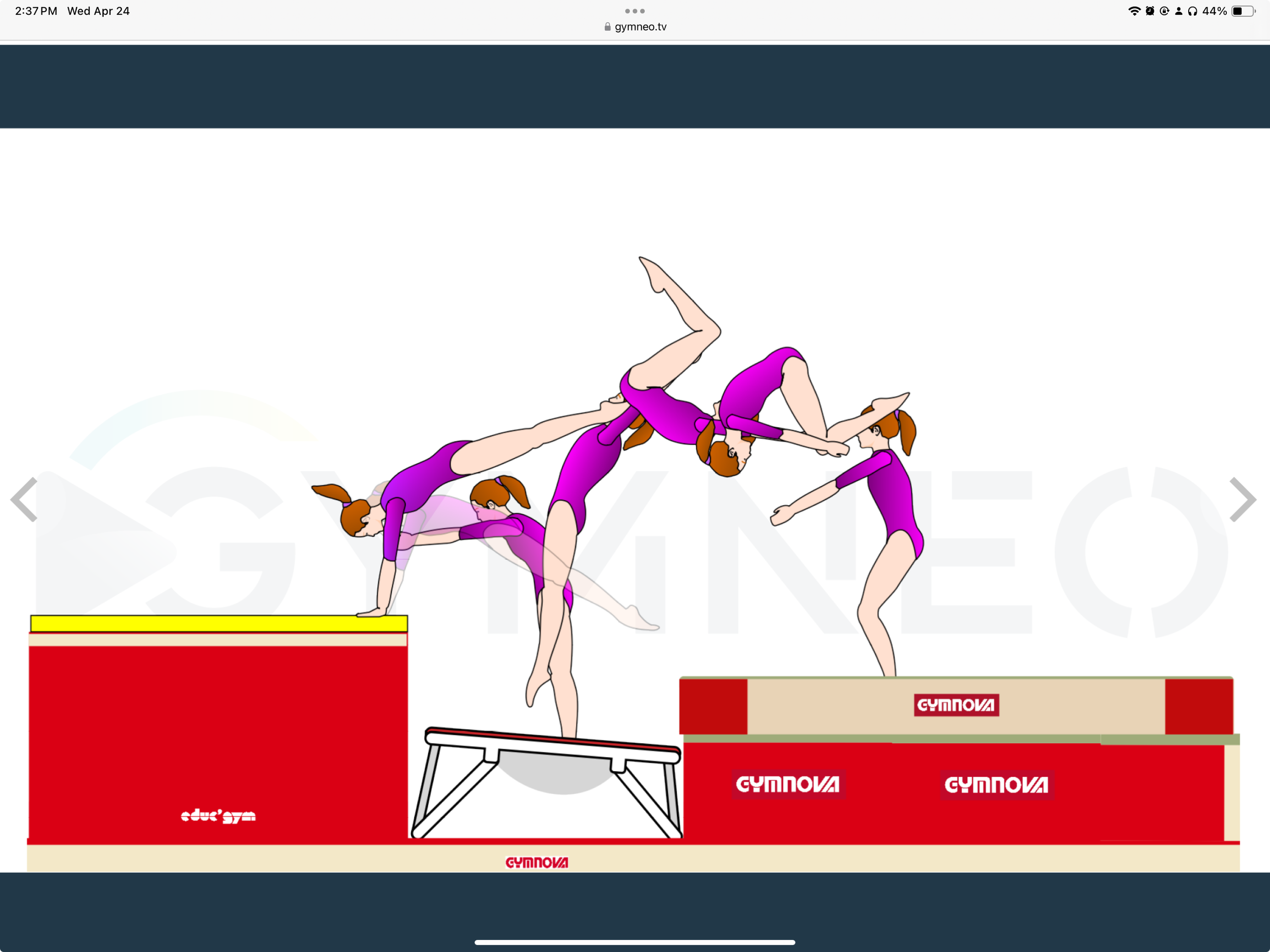 My training list - GymneoTV.jpeg 68.png