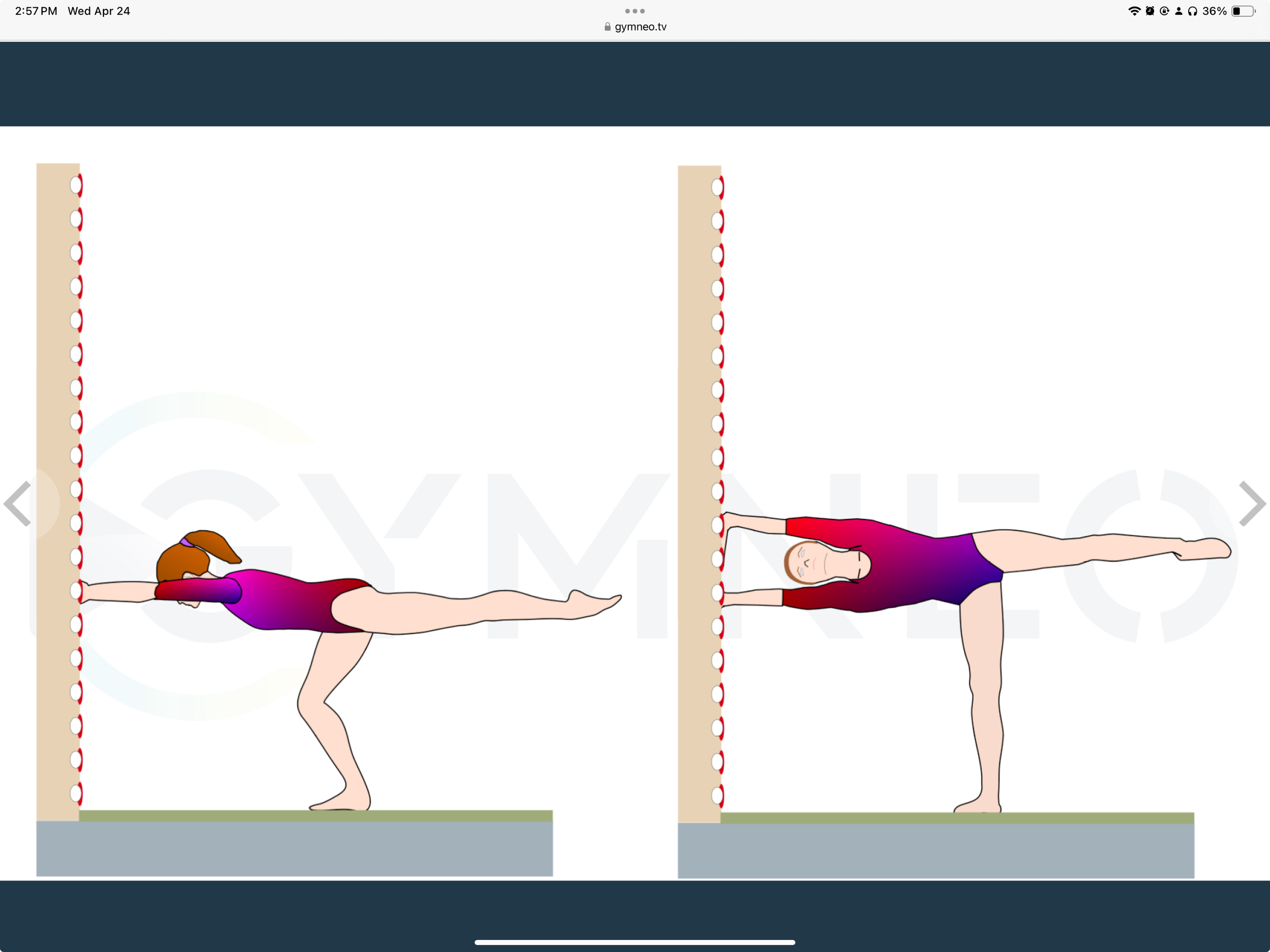 My training list - GymneoTV 2.png