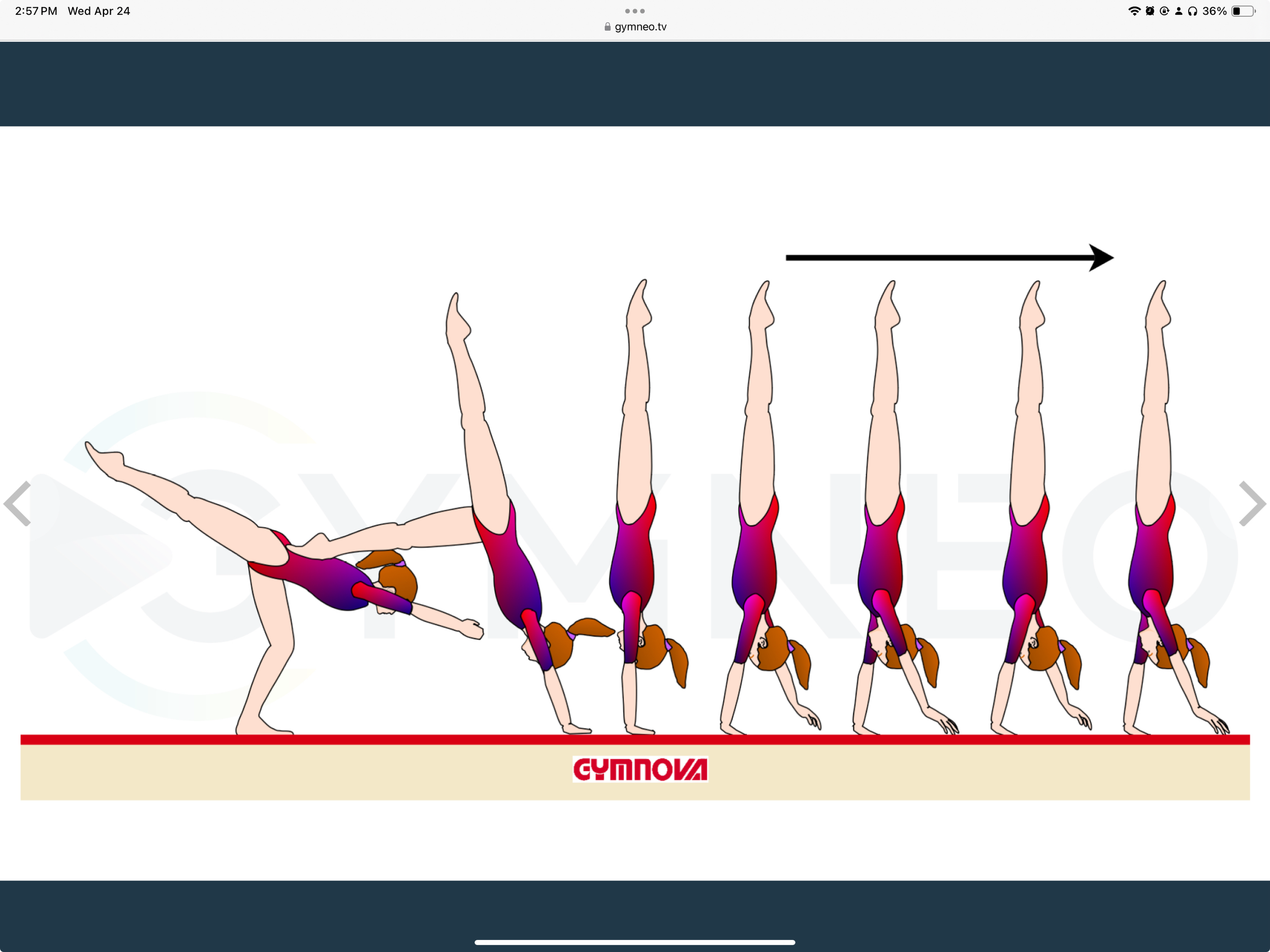 My training list - GymneoTV 3.png