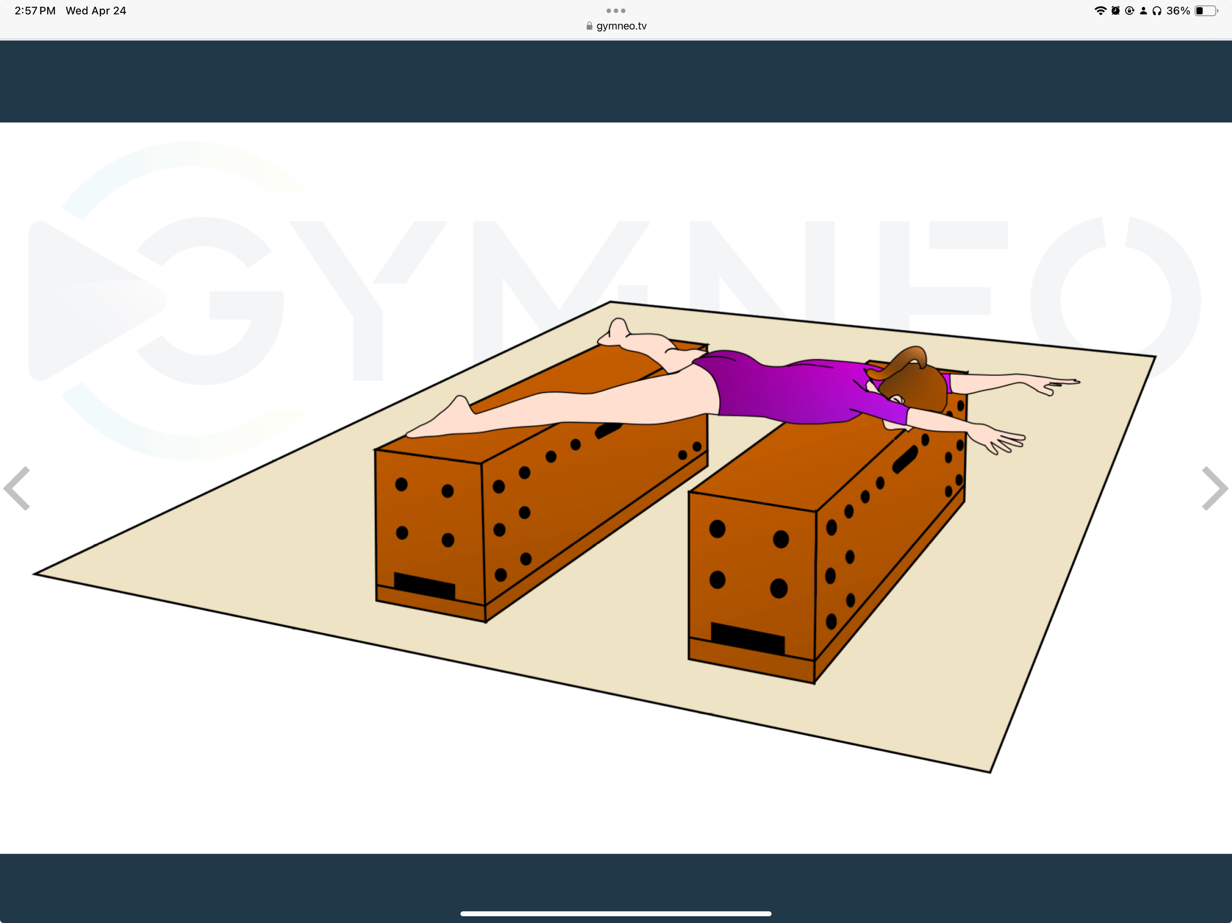 My training list - GymneoTV 9.png