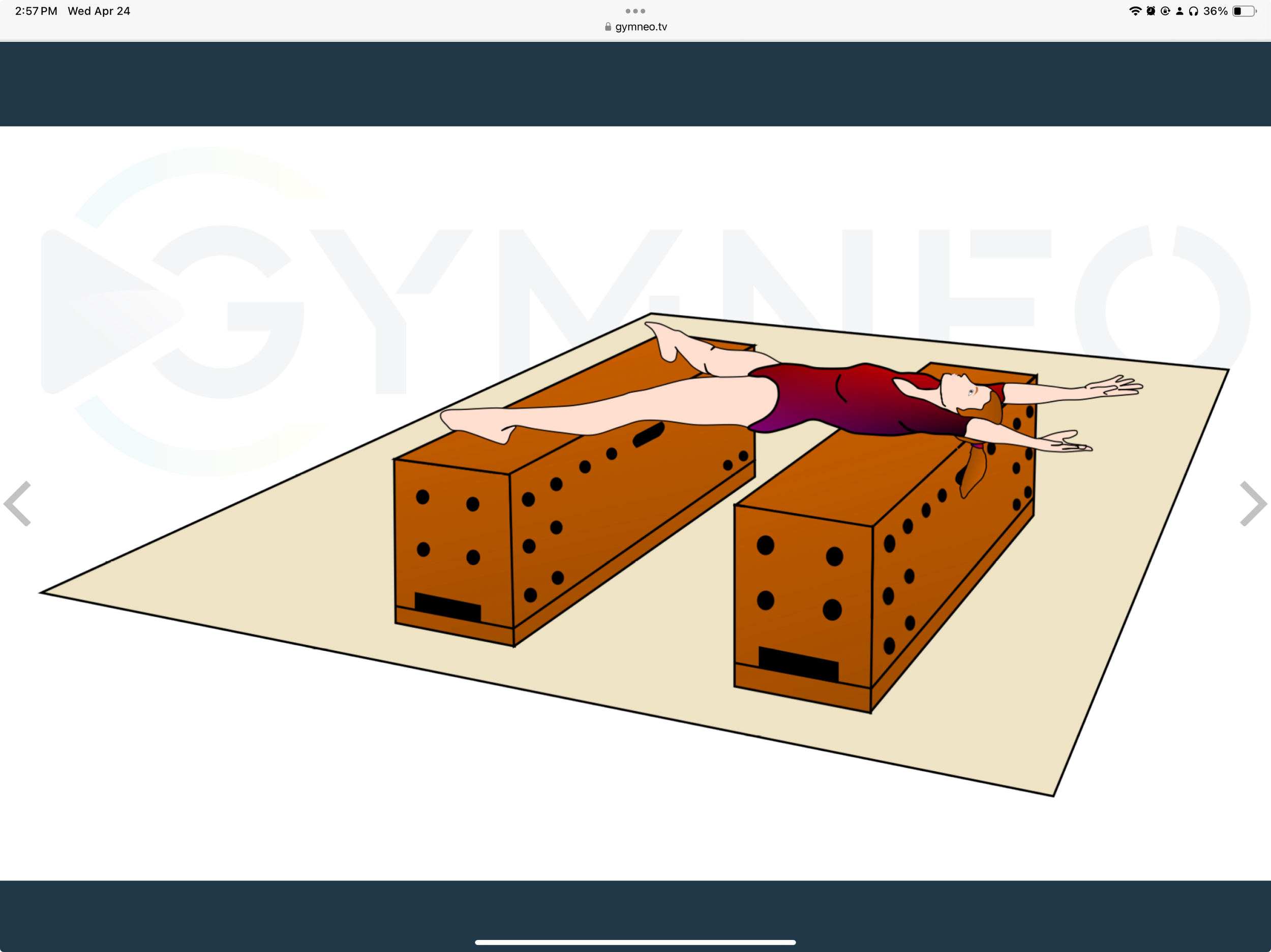 My training list - GymneoTV 12.png