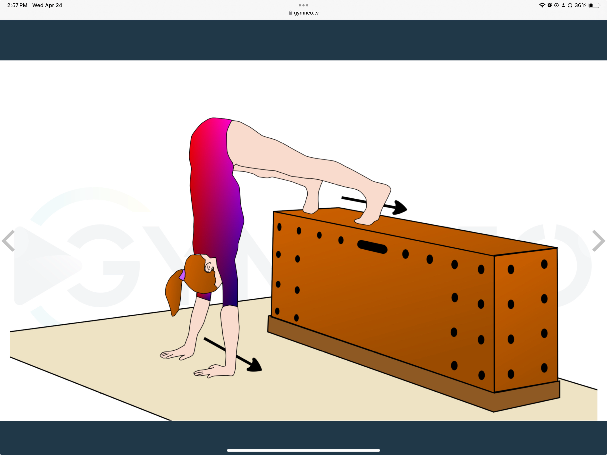 My training list - GymneoTV 14.png