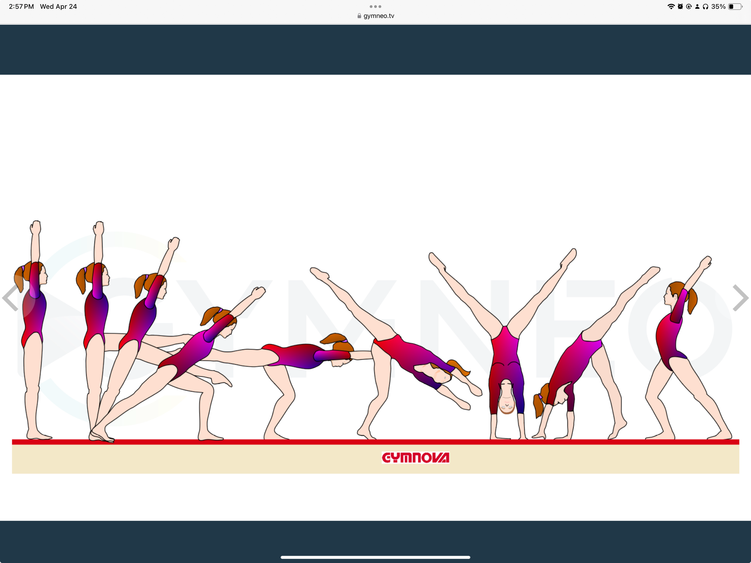 My training list - GymneoTV 16.png