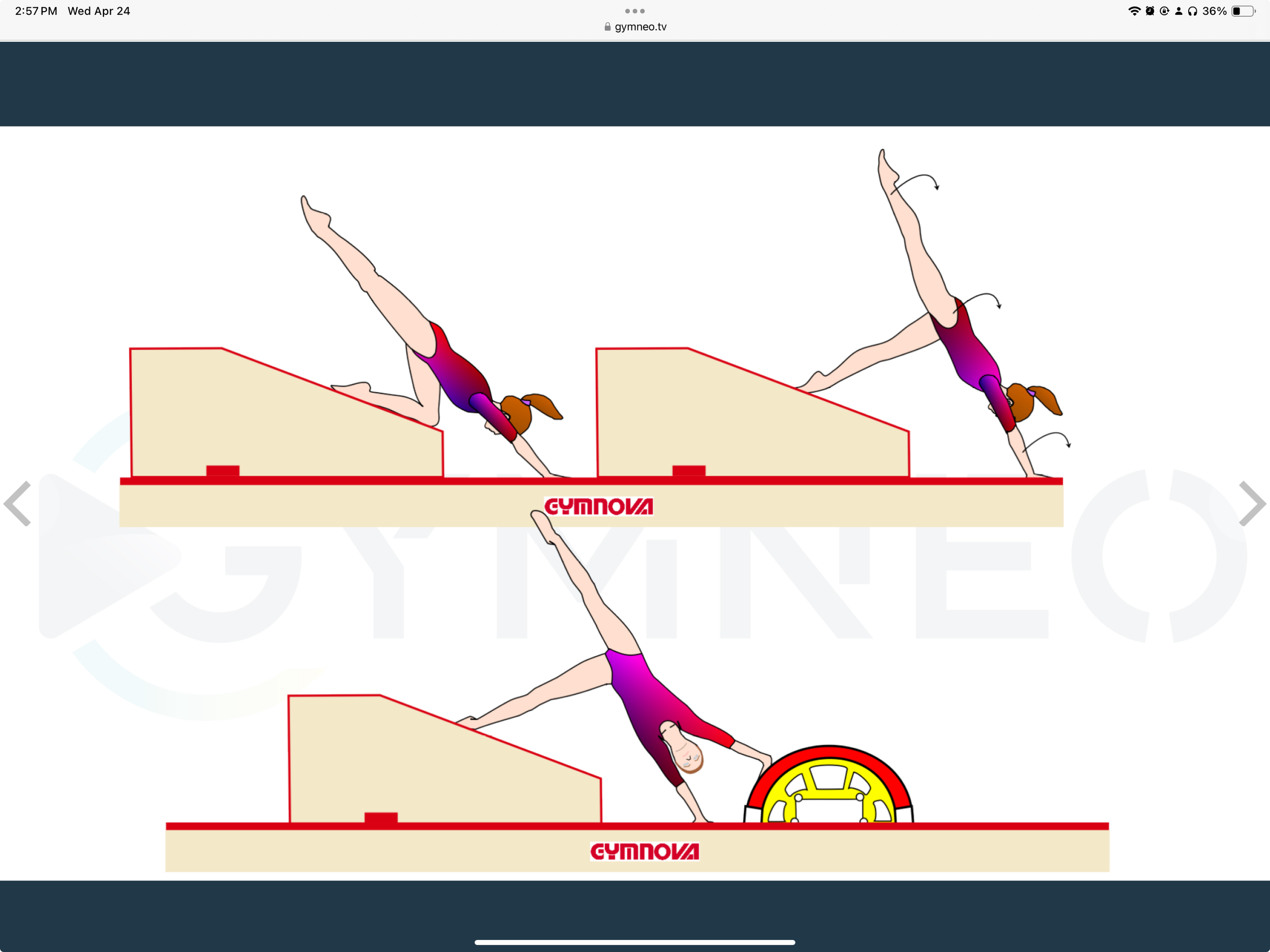 My training list - GymneoTV 18.png