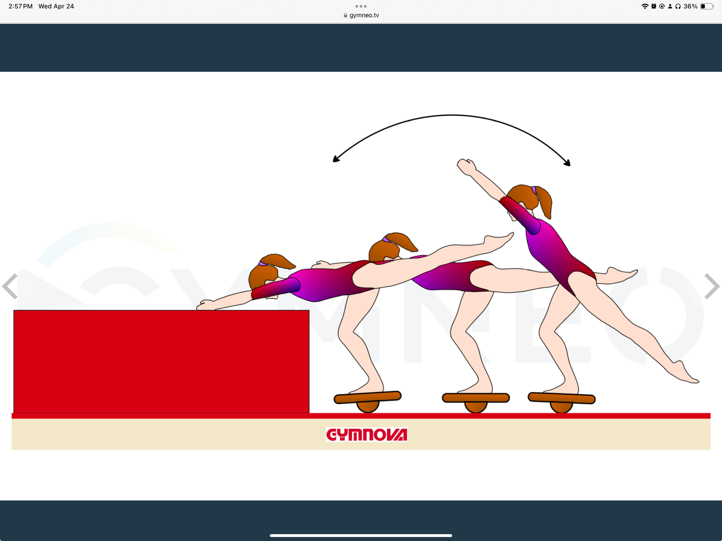 My training list - GymneoTV 19.png