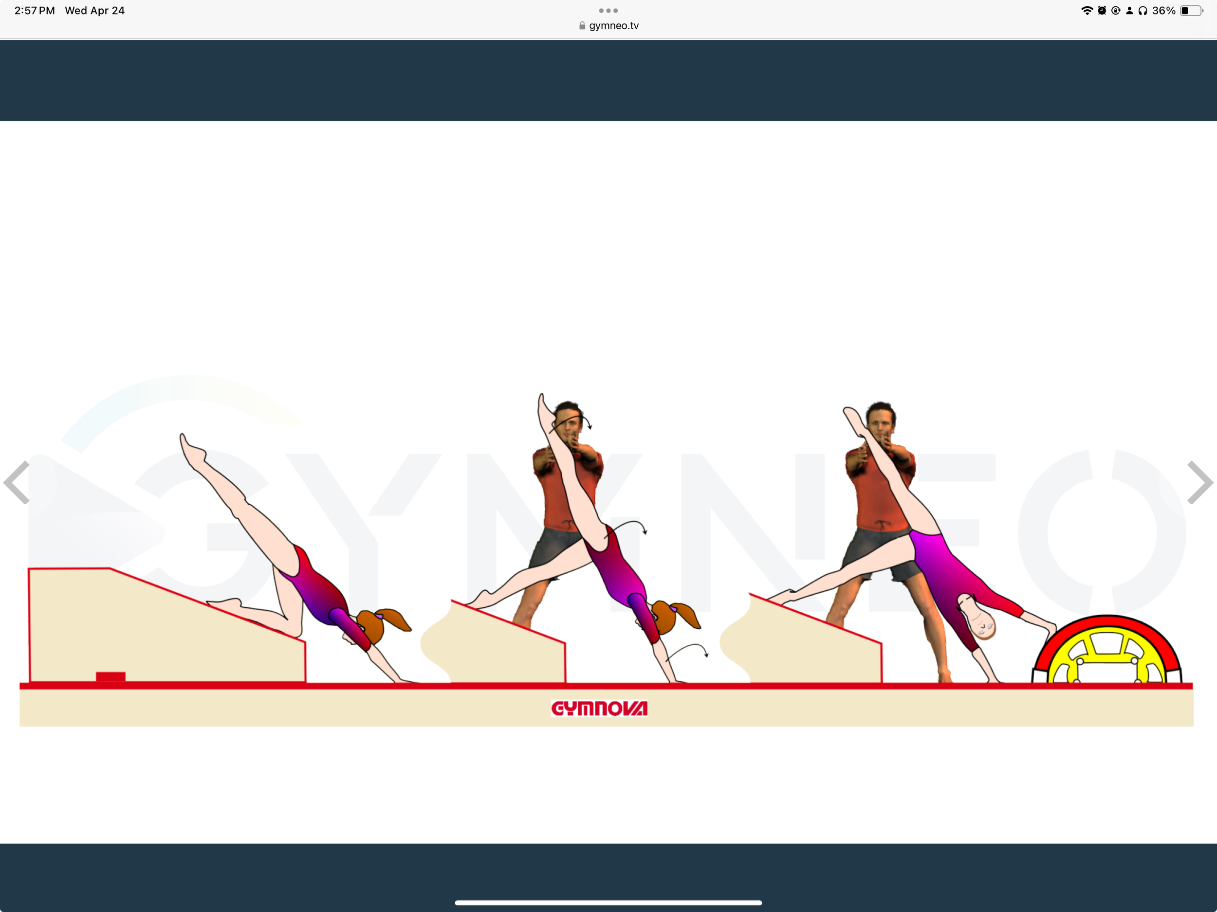 My training list - GymneoTV 22.png